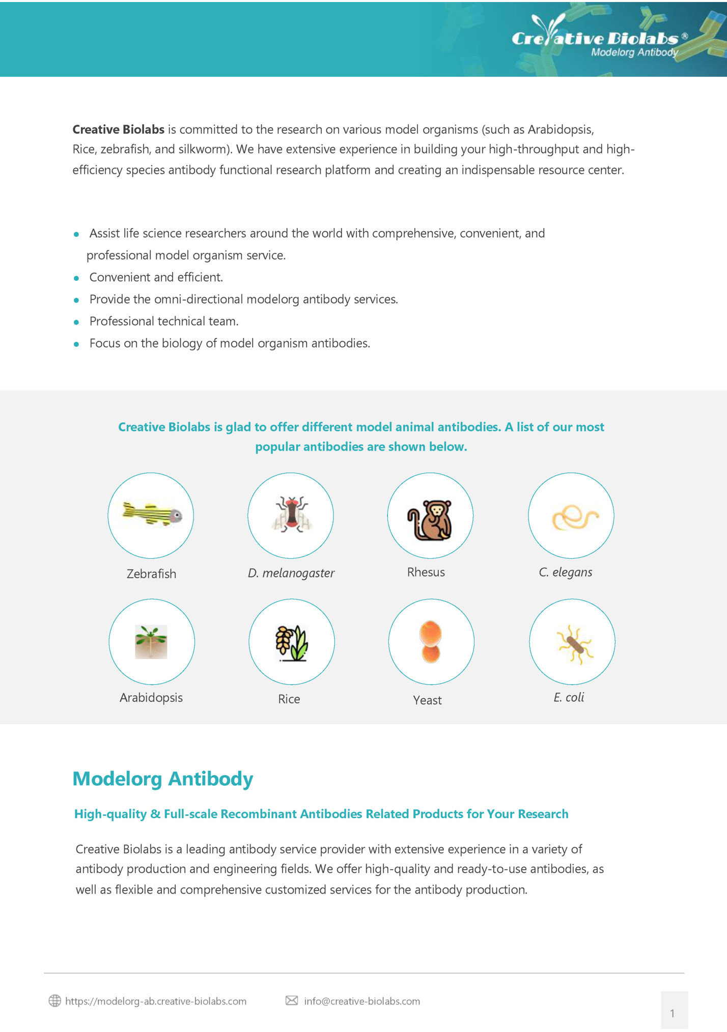 Creative Biolabs is committed to the research on various model organisms (such as Arabidopsis,