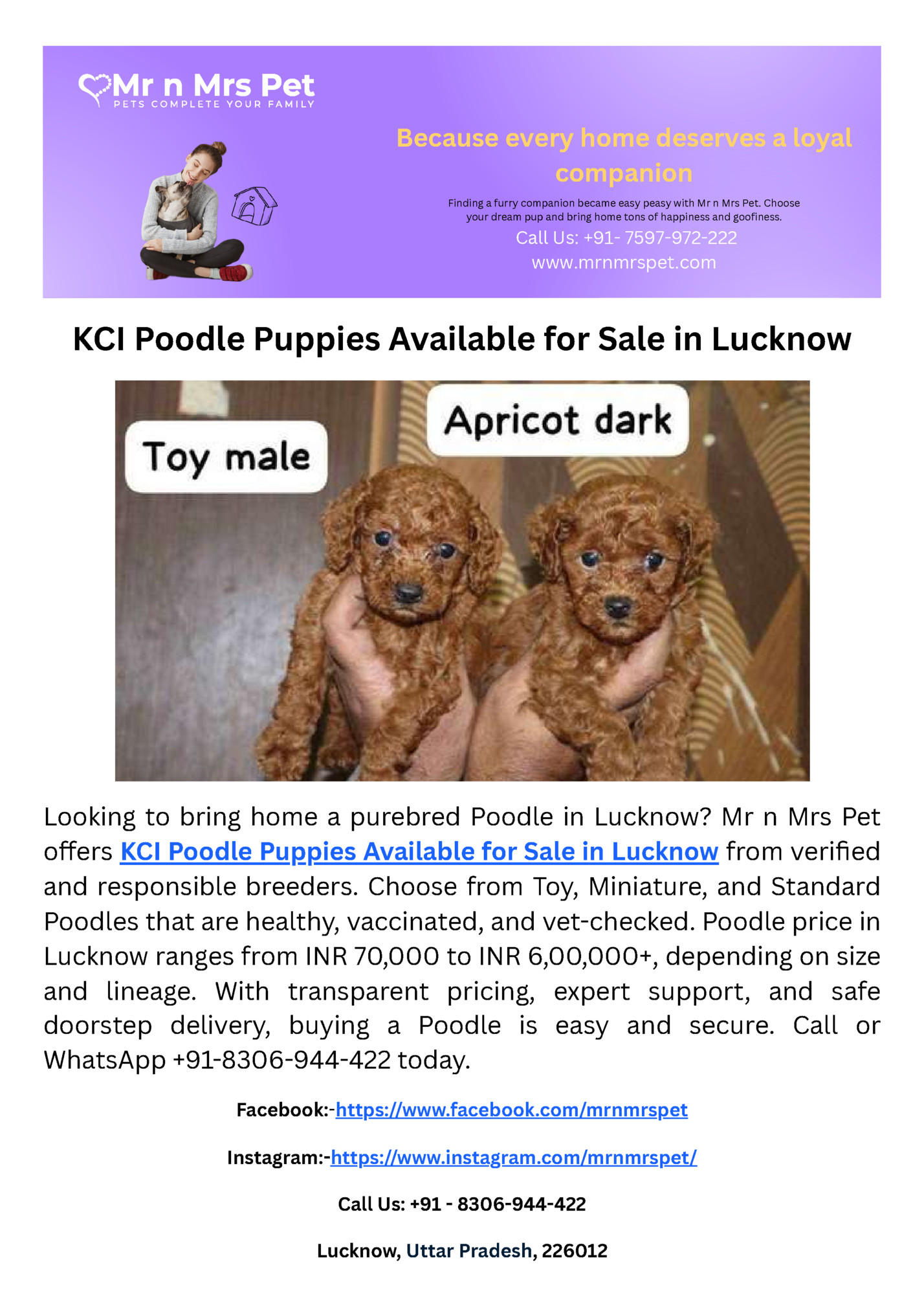 Because every home deserves a loyal