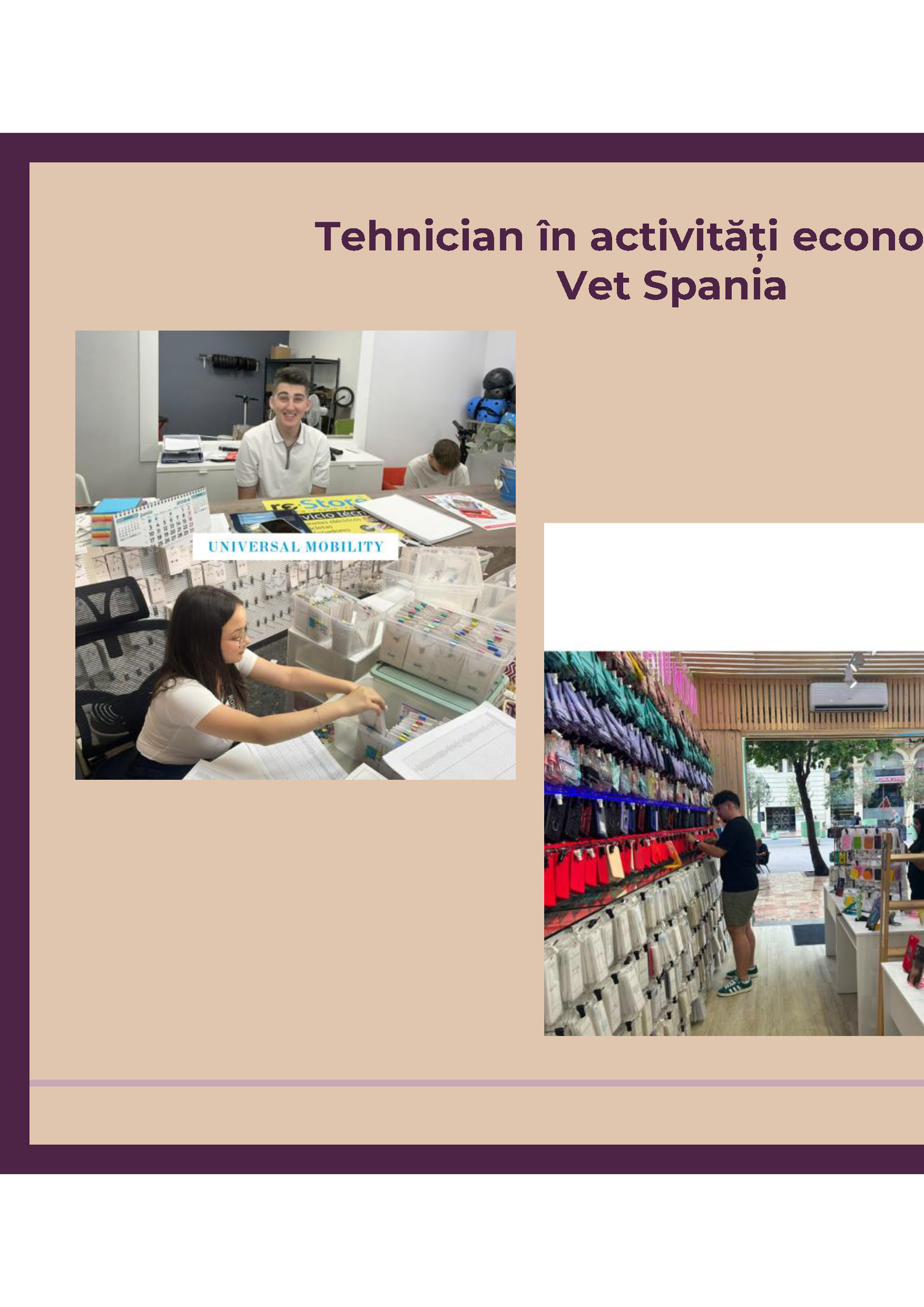 Tehnician în activități economice