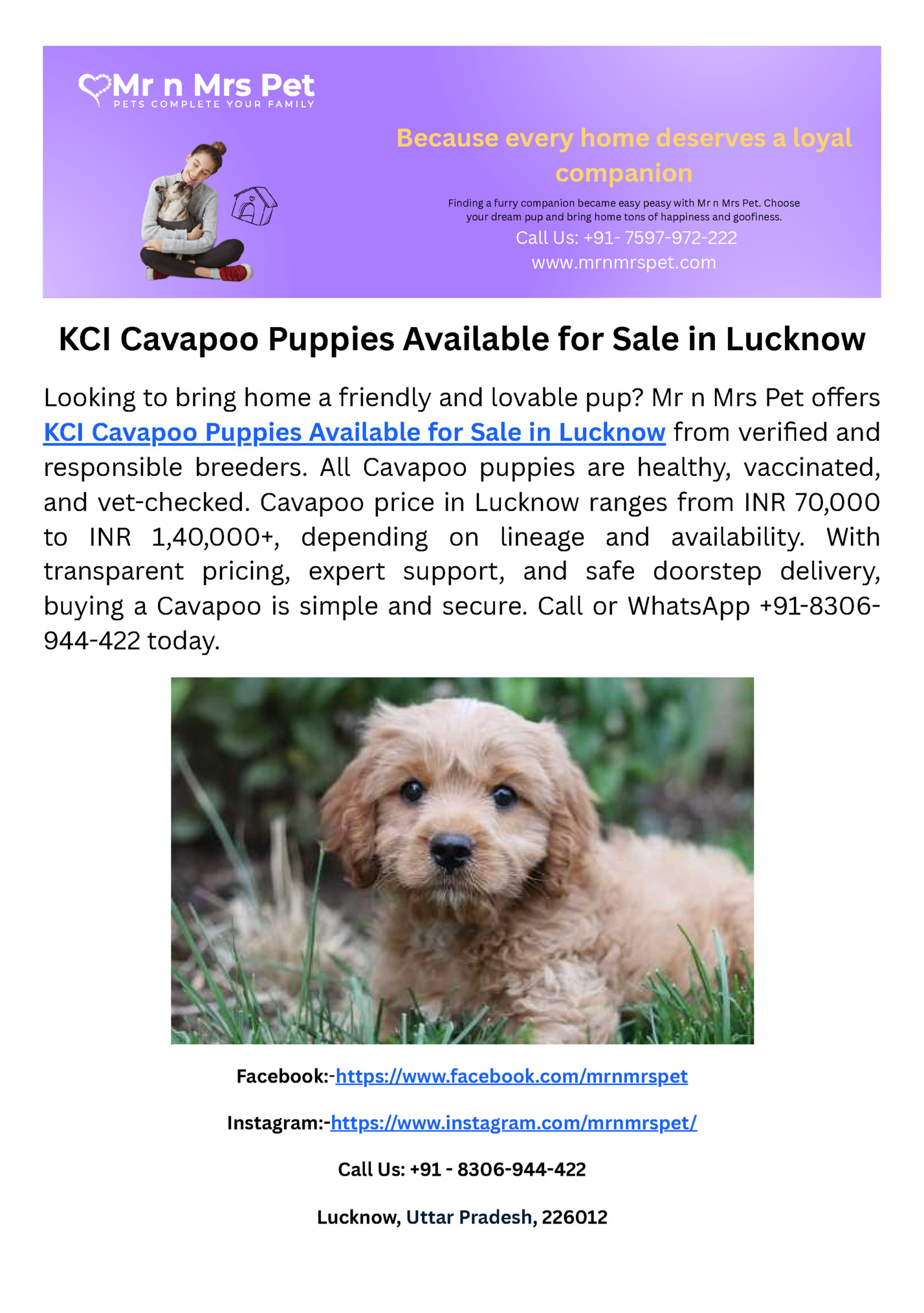 Because every home deserves a loyal