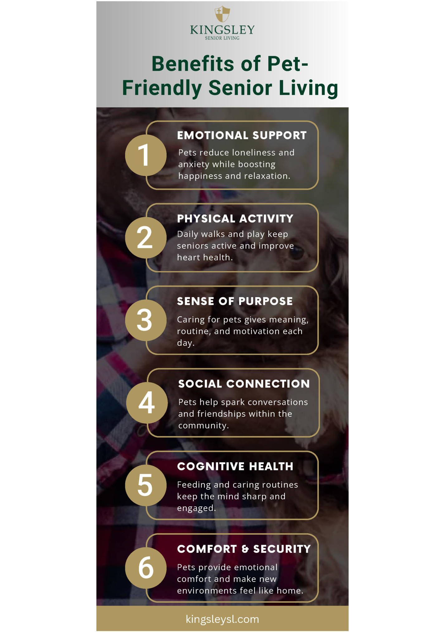 Benefits of PetFriendly Senior Living Benefits of PetFriendly Senior Living