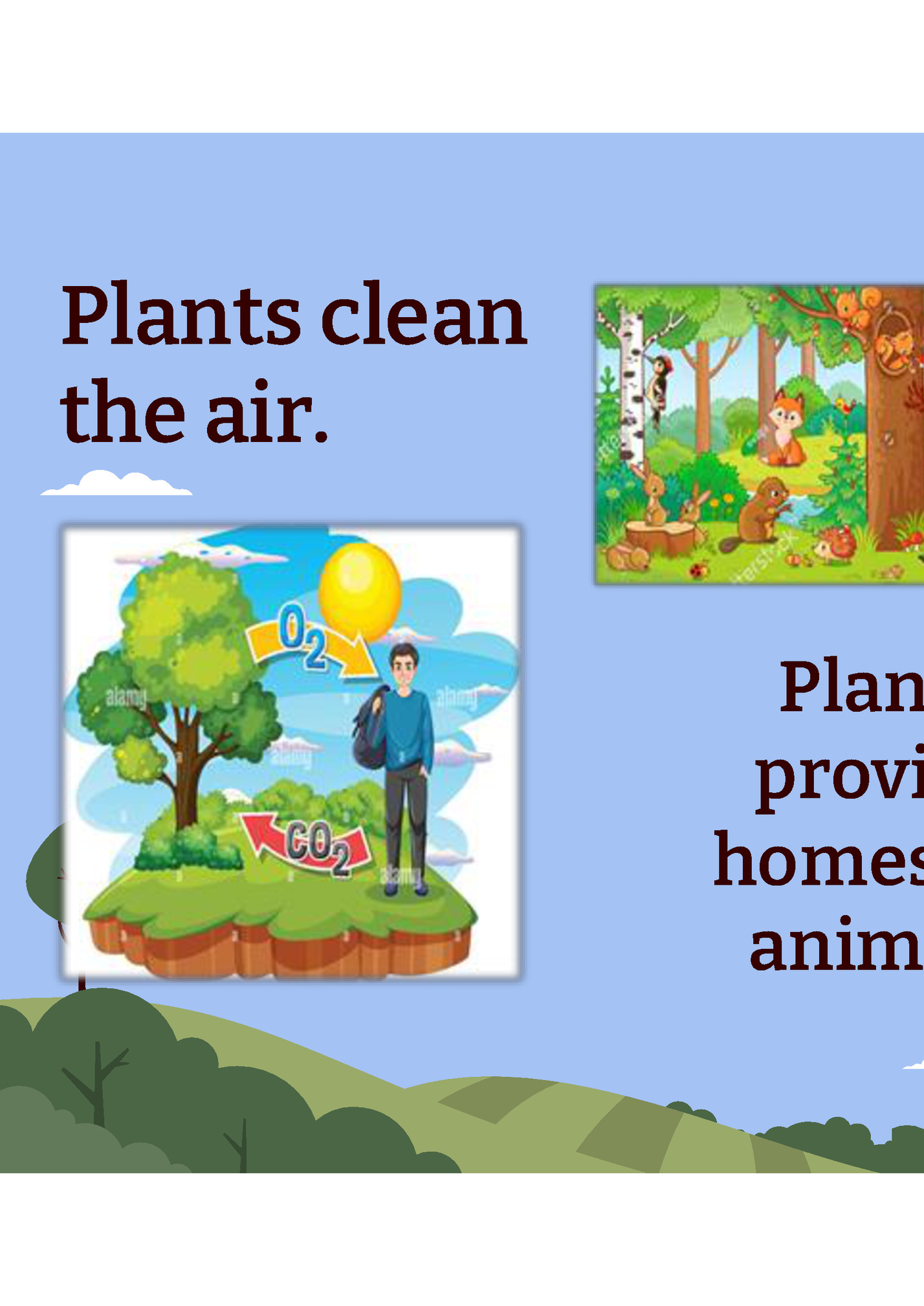 Plants give Plants give