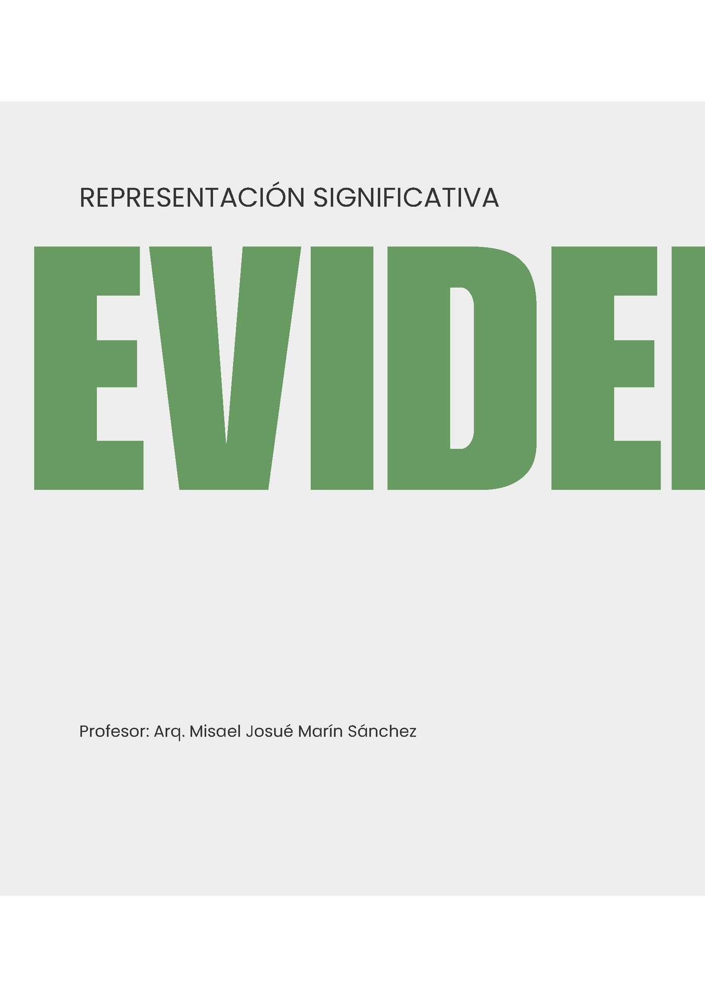 REPRESENTACIÓN SIGNIFICATIVA REPRESENTACIÓN SIGNIFICATIVA