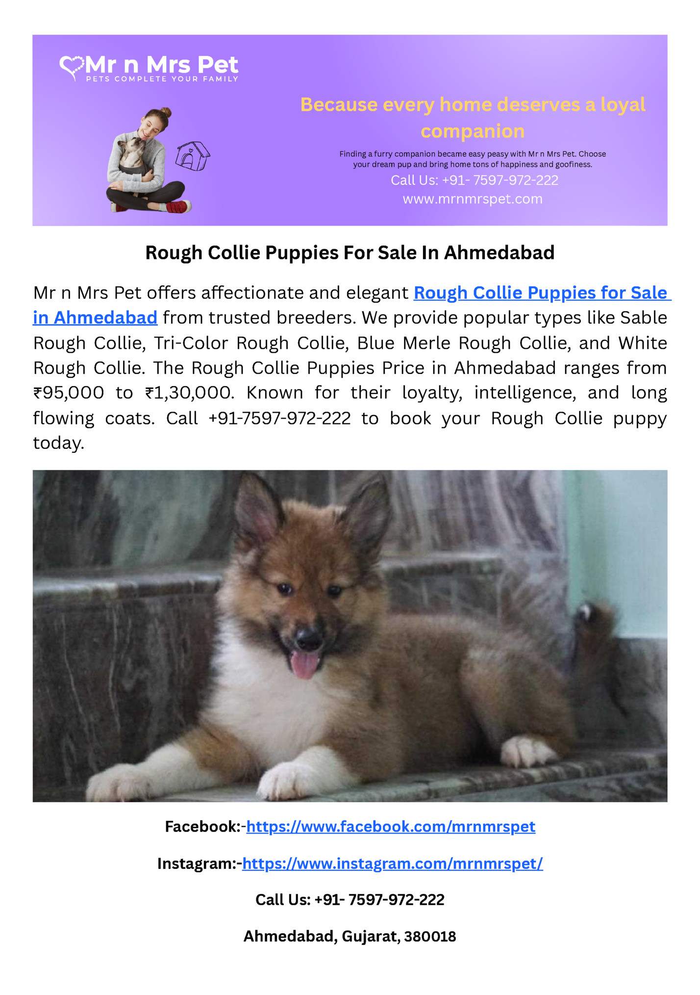 Because every home deserves a loyal Because every home deserves a loyal