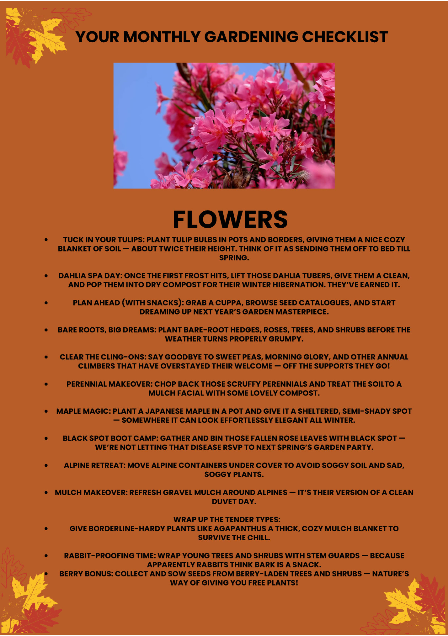 YOUR MONTHLY GARDENING CHECKLIST