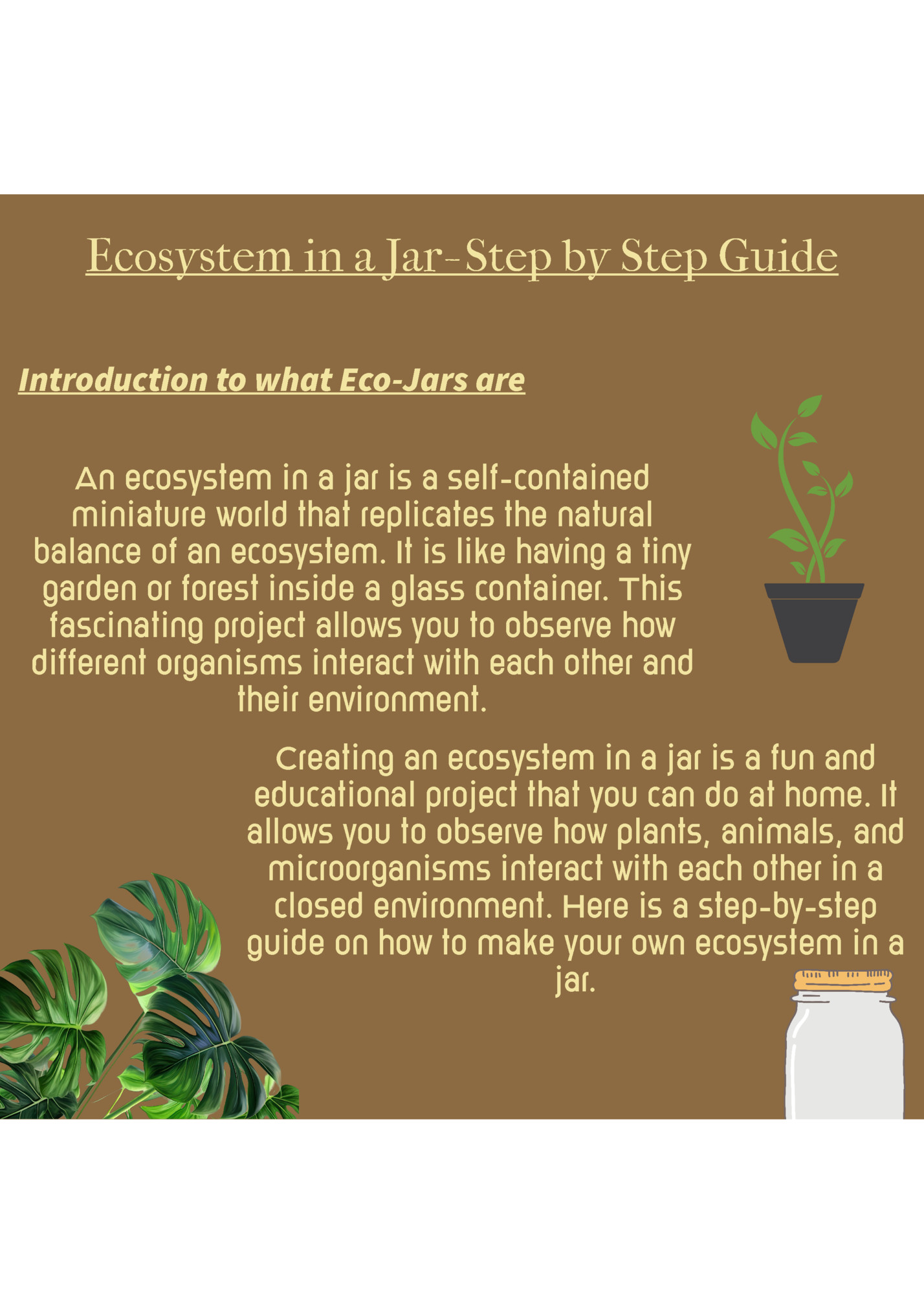 Ecosystem in a Jar- Step by Step Guide