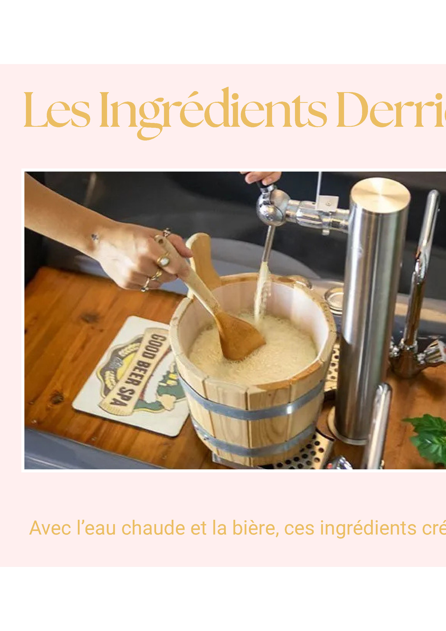 Les Ingrédients Derrière L’Expérience