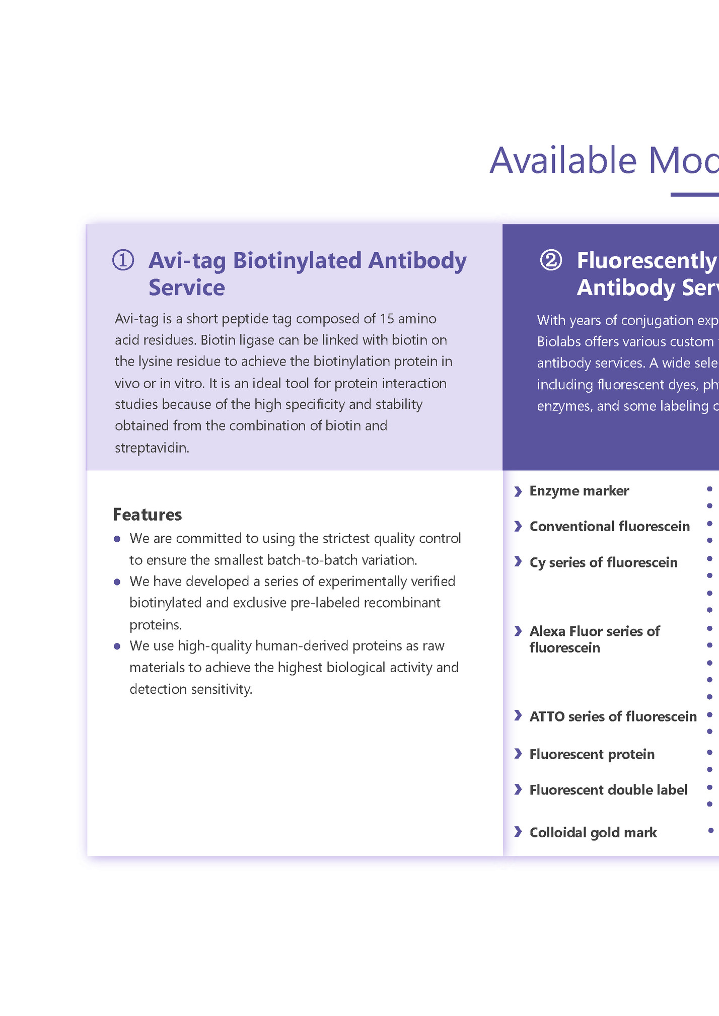 Available Modelorg-service