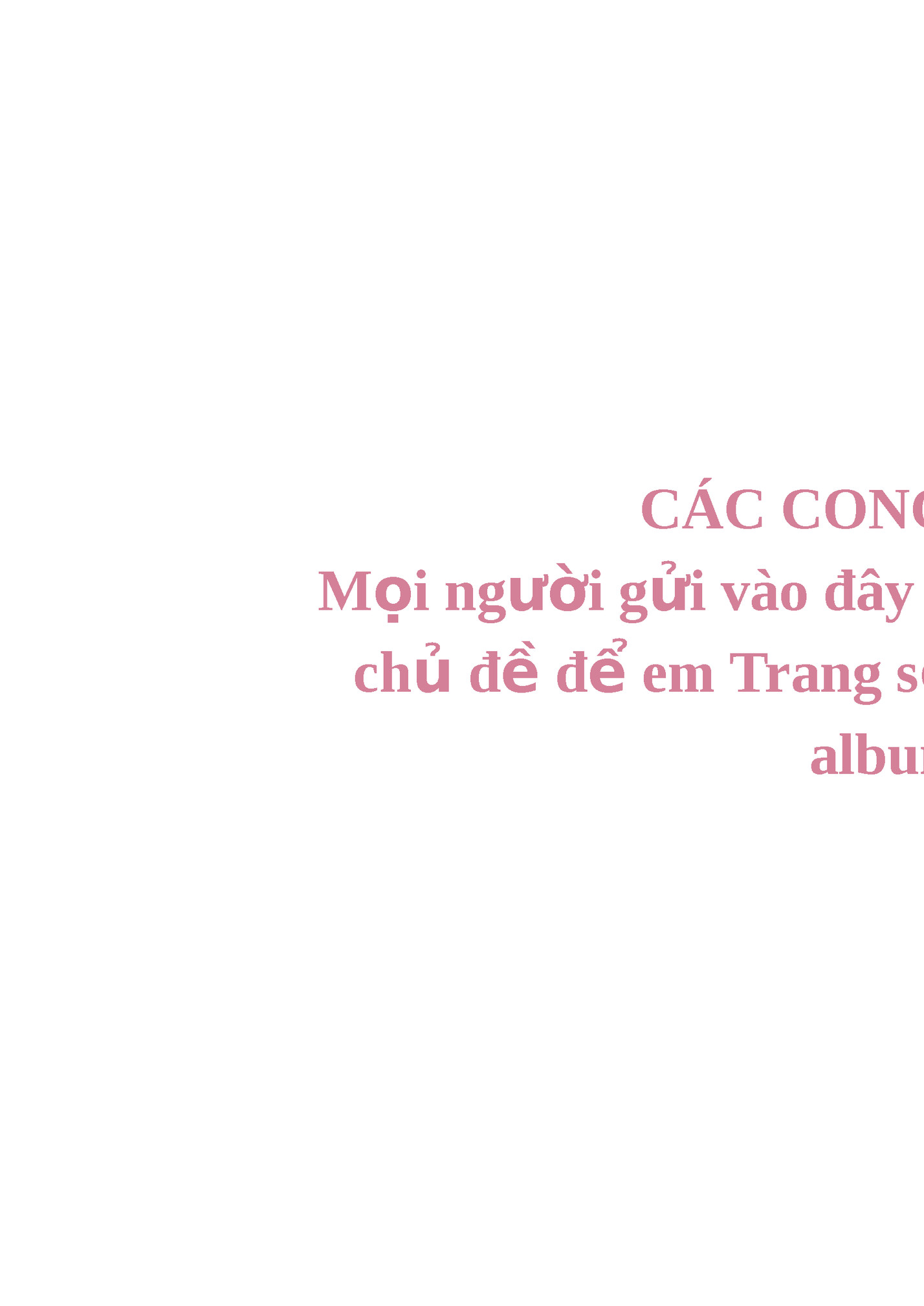 CÁC CONCEPT ẢNH
