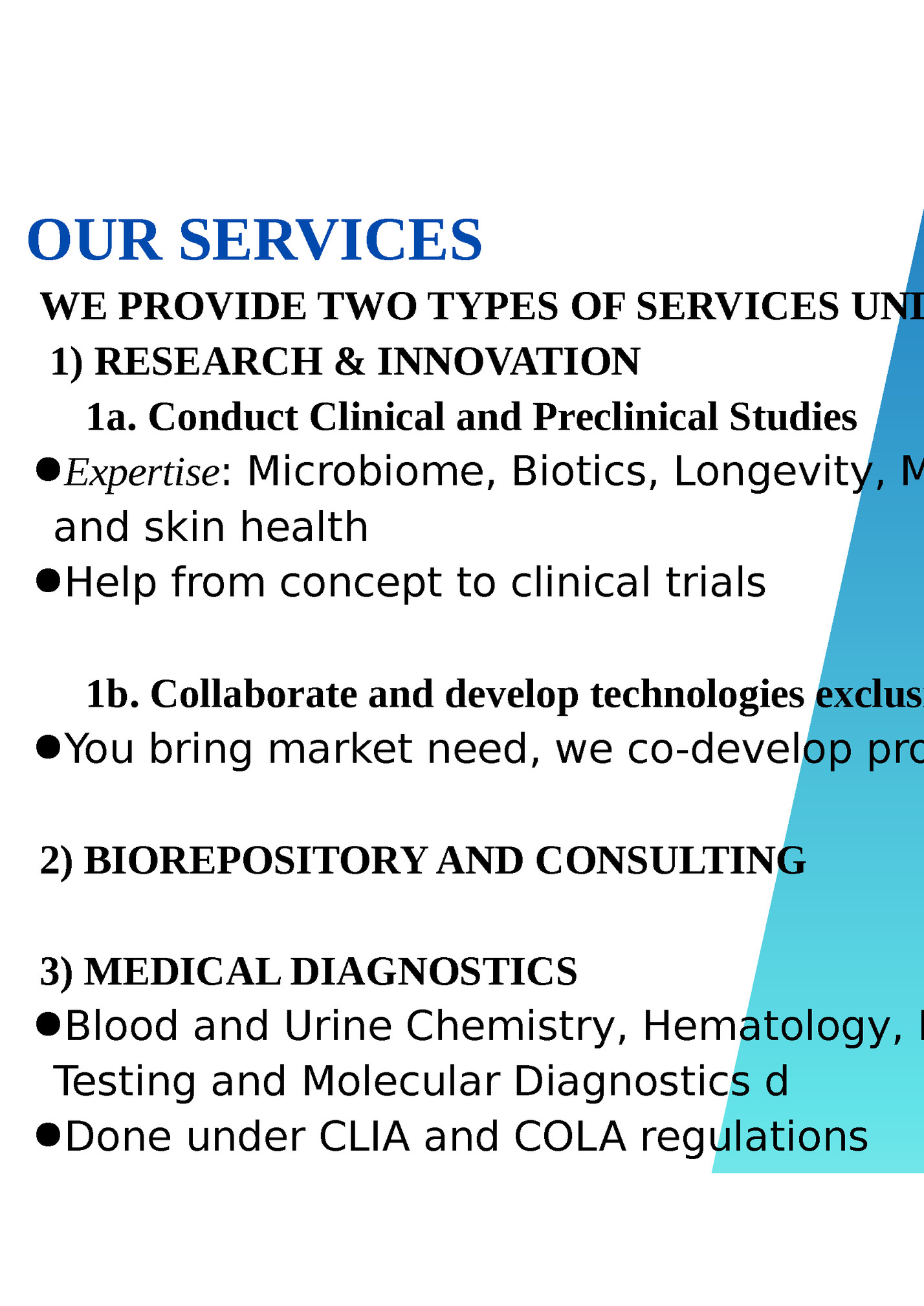 OUR SERVICES