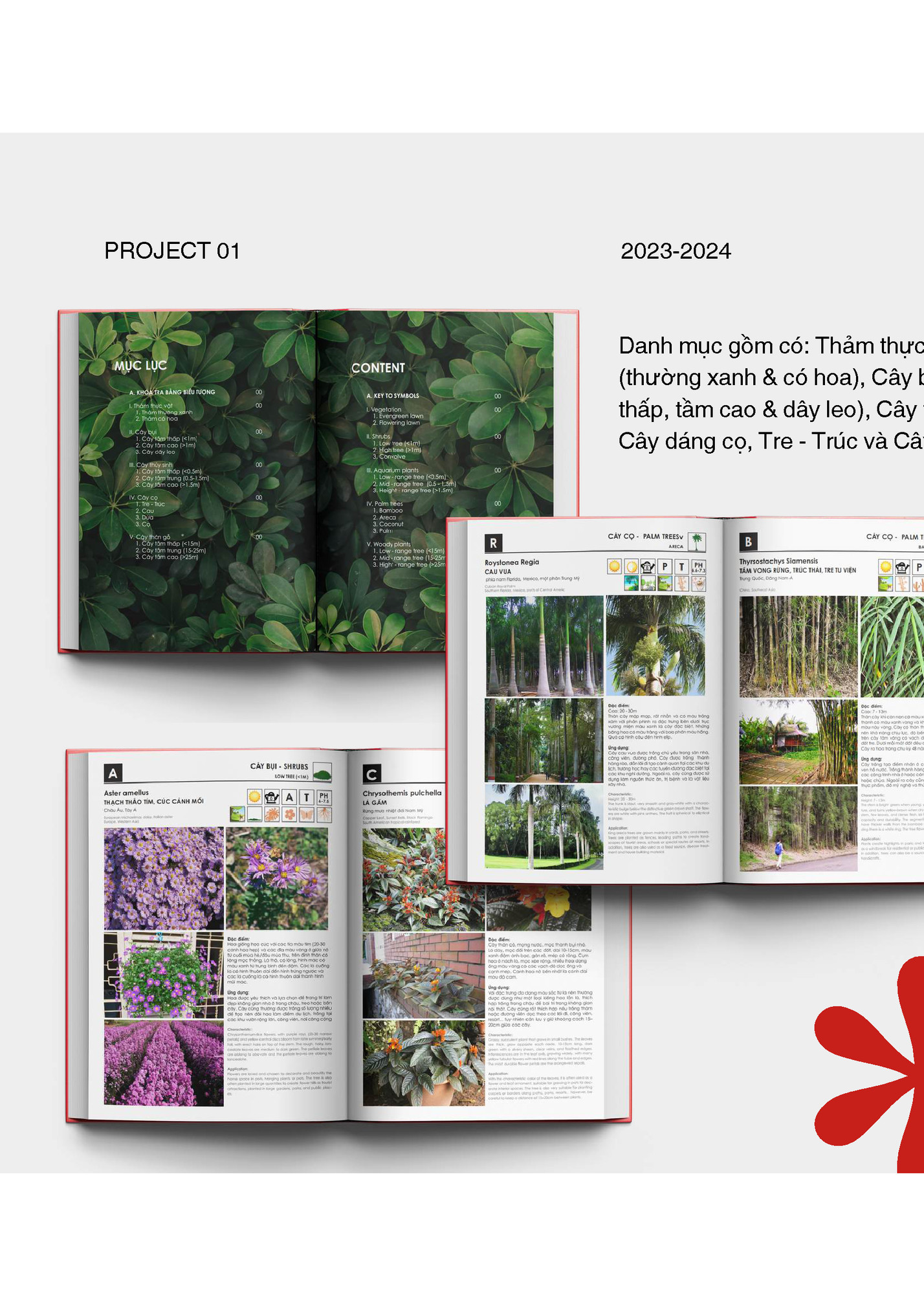 PROJECT 01