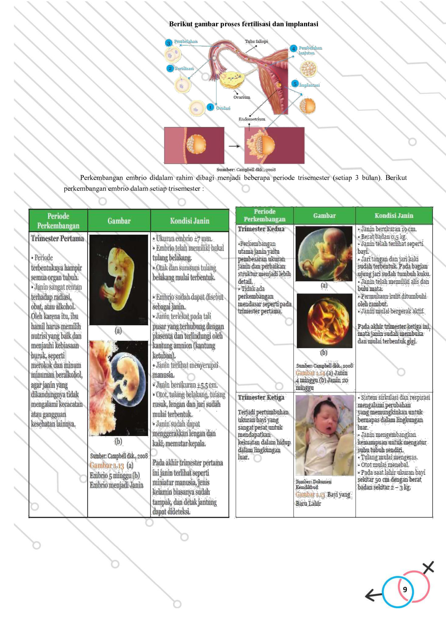 Berikut gambar proses fertilisasi dan implantasi