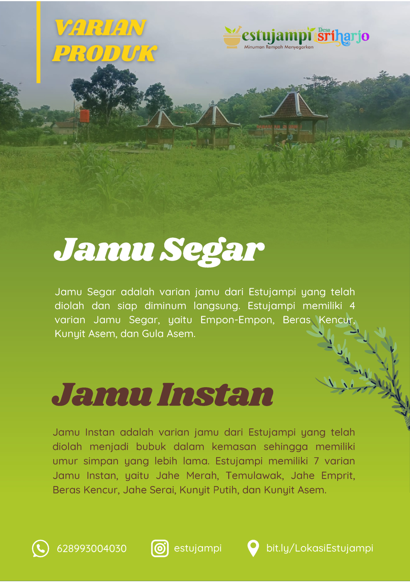 Jamu Segar