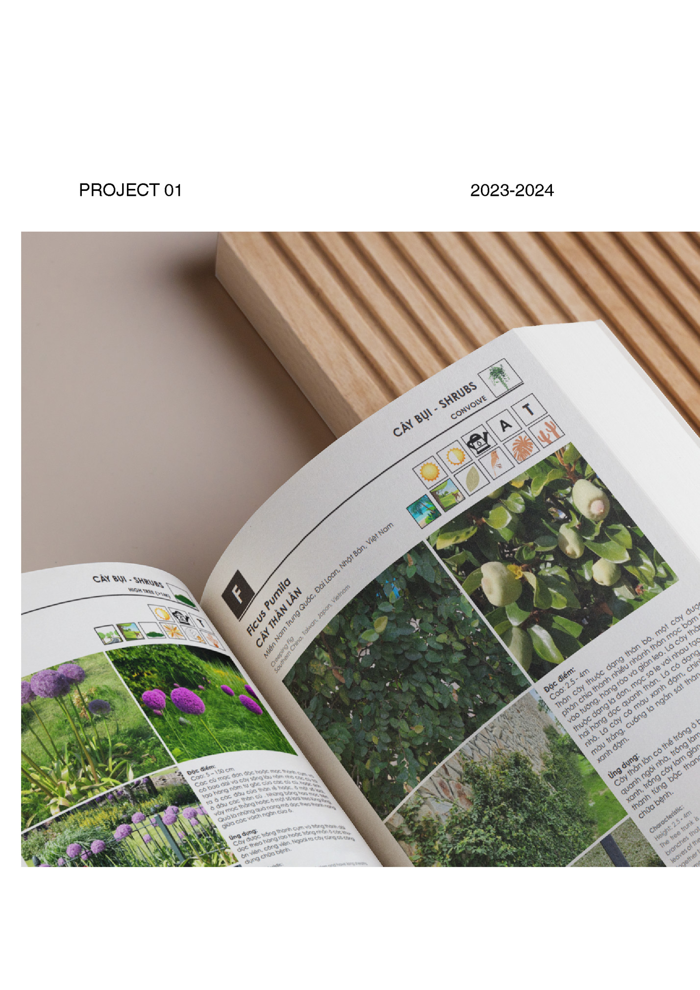 PROJECT 01