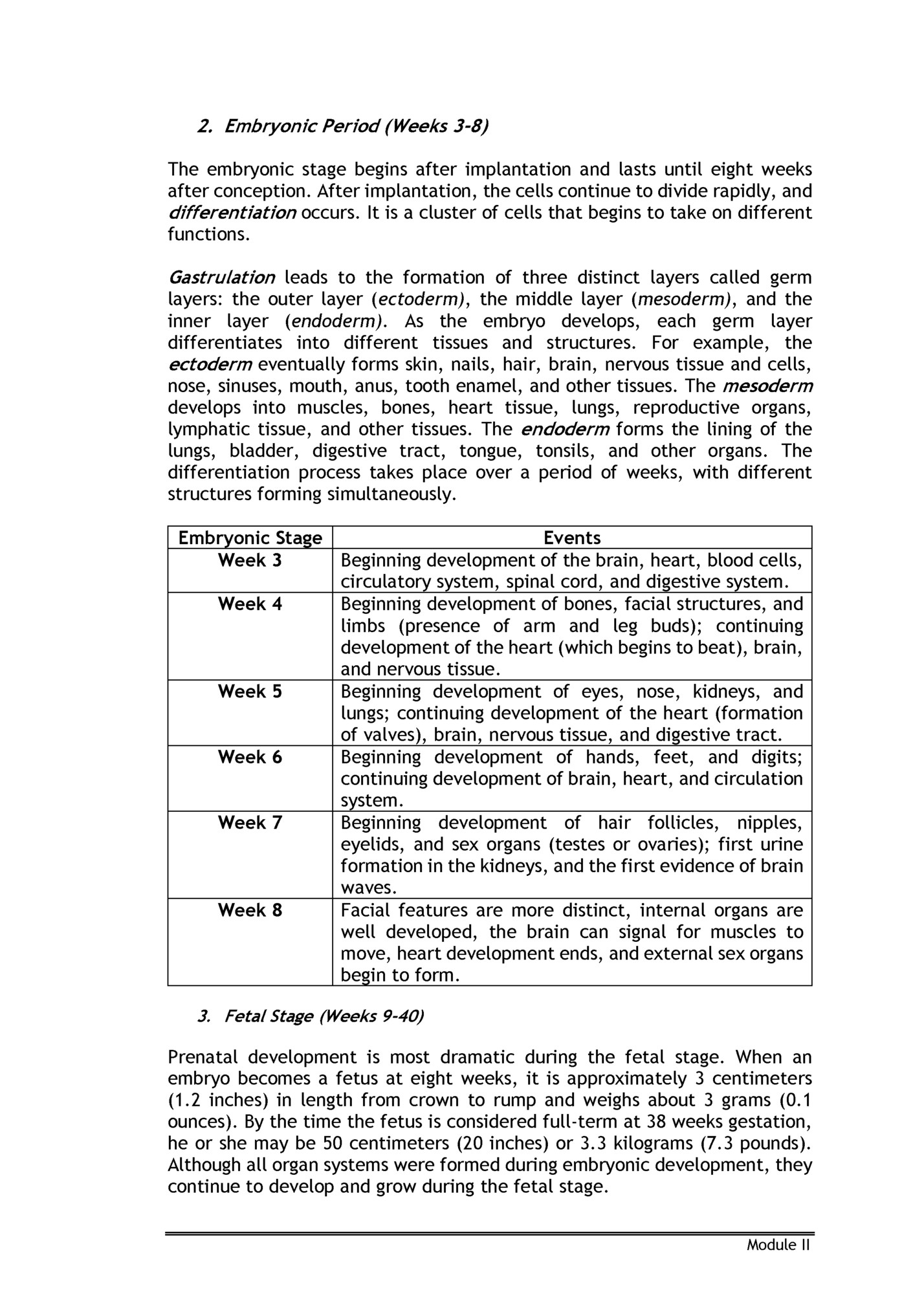 2. Embryonic Period (Weeks 3-8)