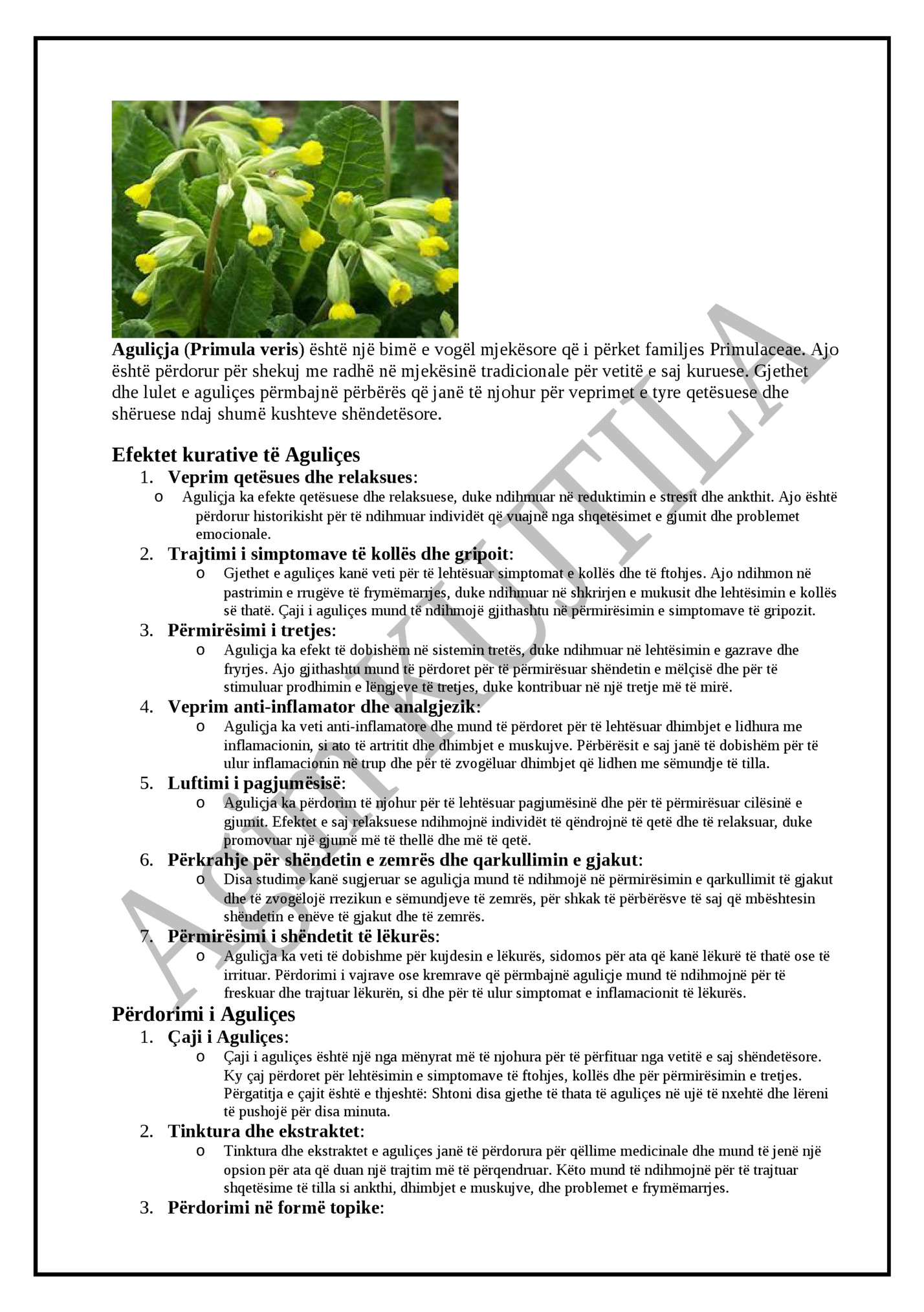 Aguliçja (Primula veris) është një bimë e vogël mjekësore që i përket familjes Primulaceae. Ajo