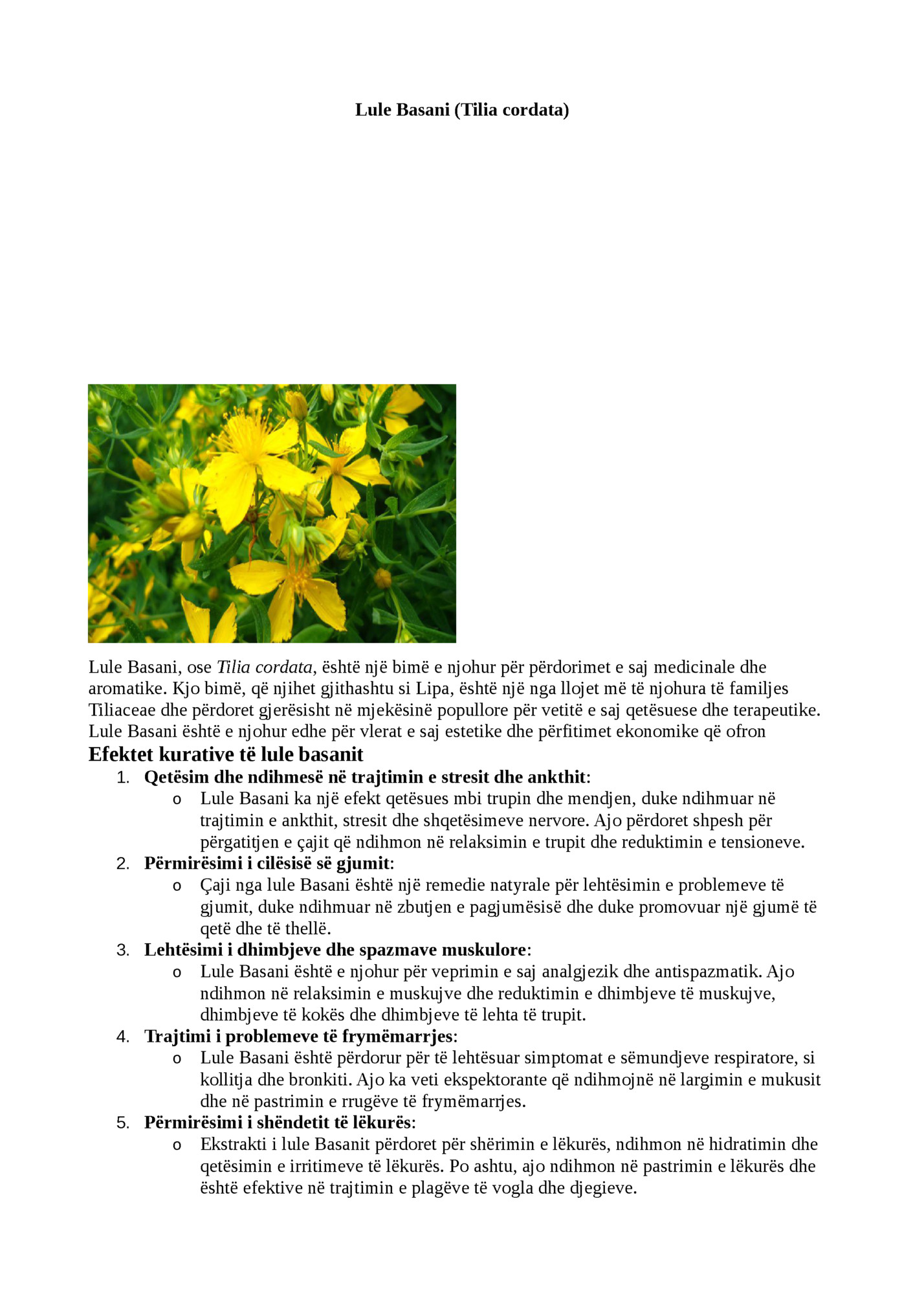 Lule Basani (Tilia cordata)