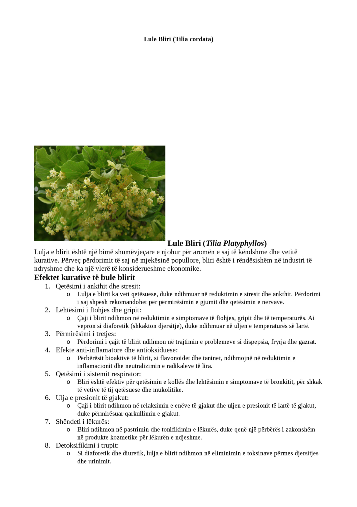 Lule Bliri (Tilia cordata)