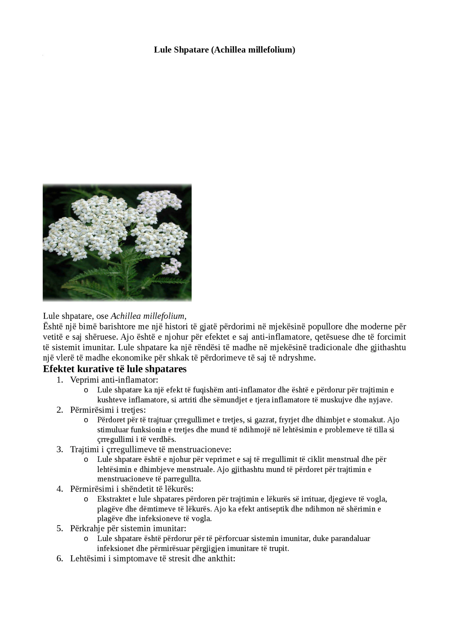 Lule Shpatare (Achillea millefolium)