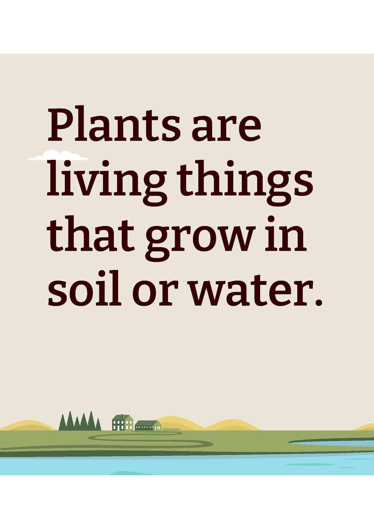 Plants are