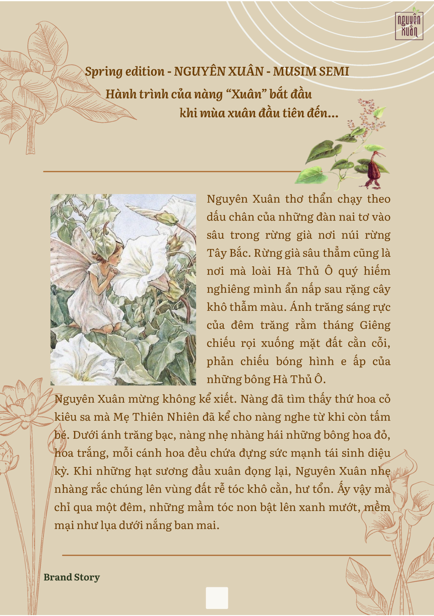 Spring edition - NGUYÊN XUÂN - MUSIM SEMI