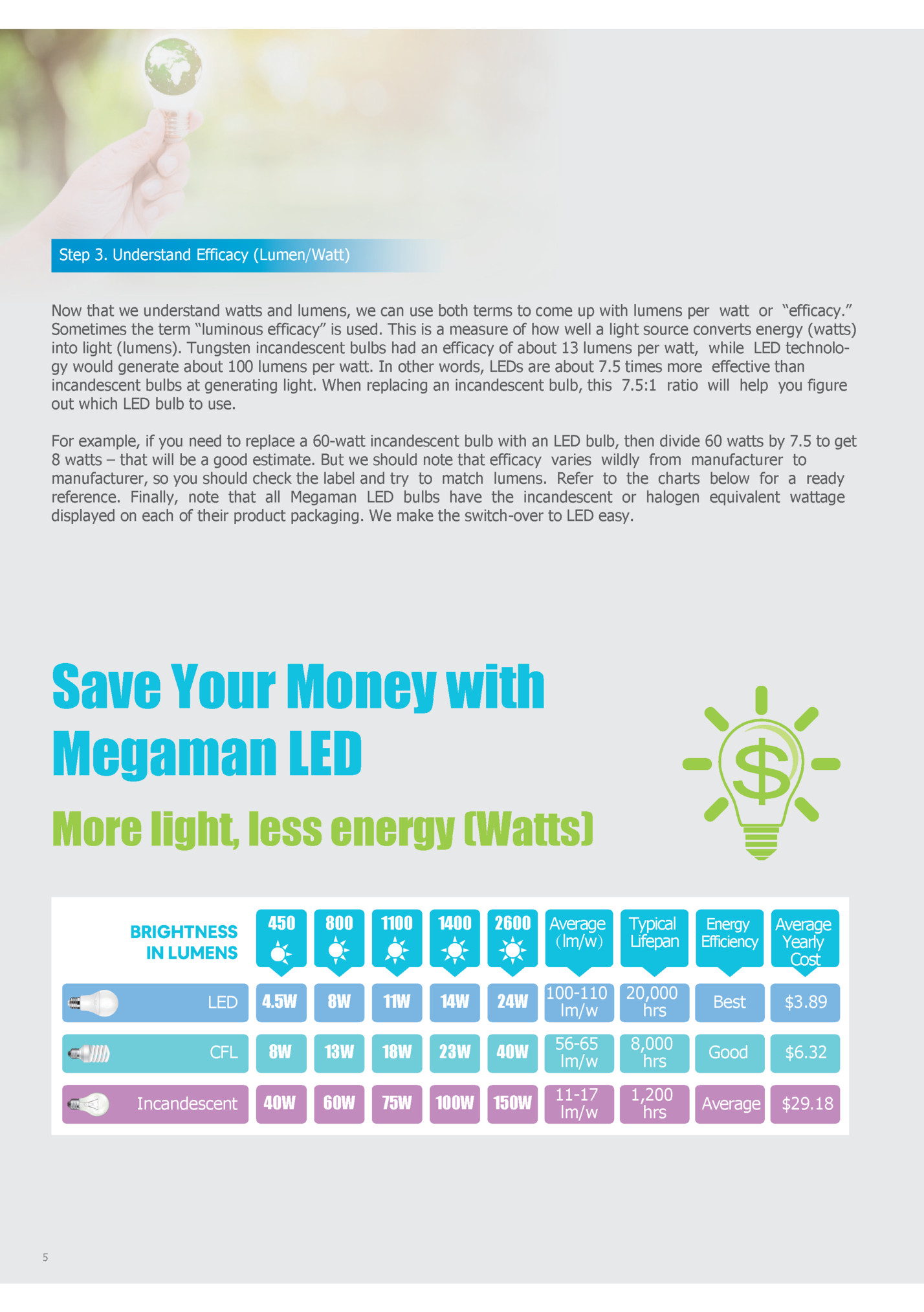 Step 3. Understand Efficacy (Lumen/Watt)