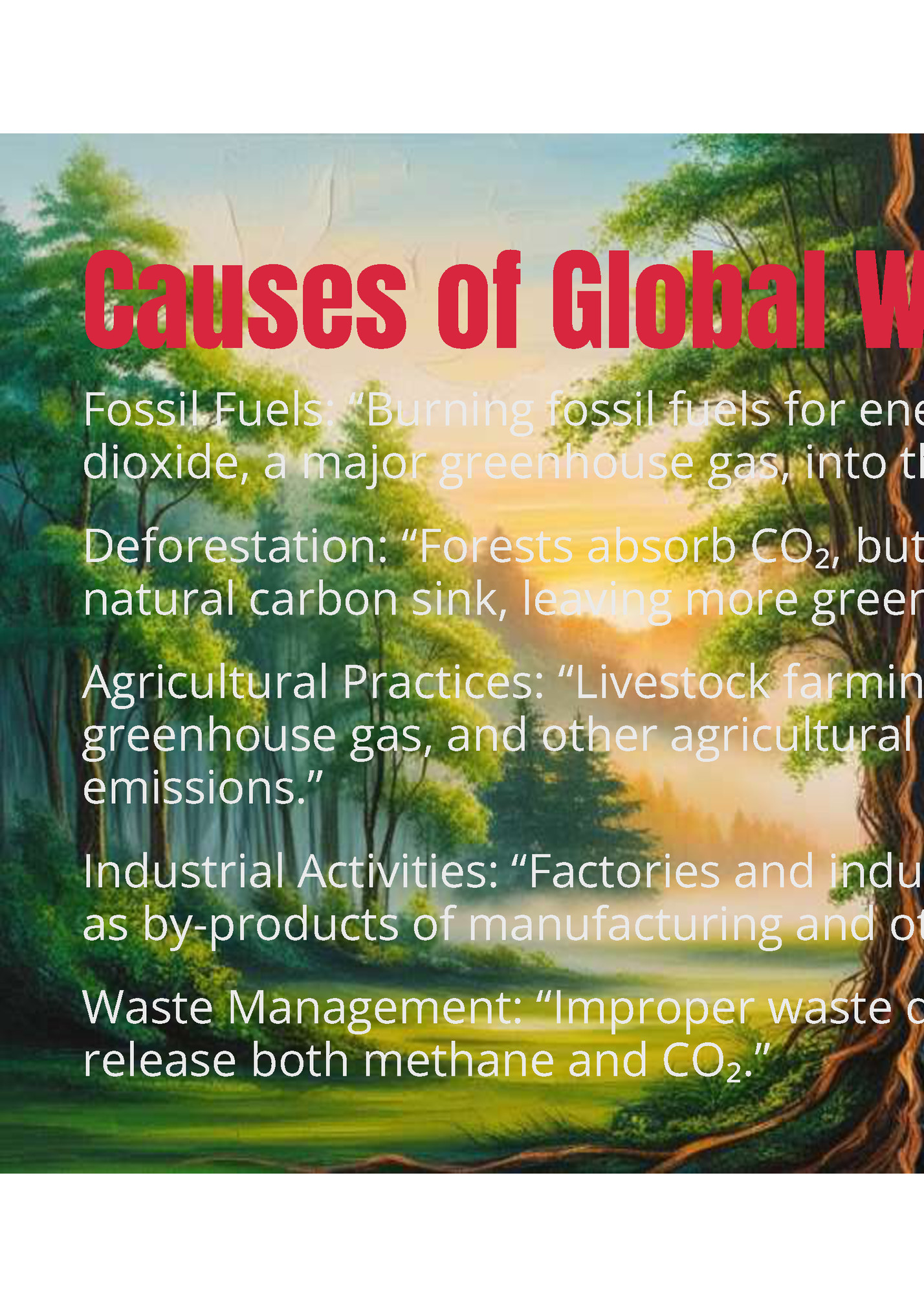 Causes of Global Warming: Causes of Global Warming: