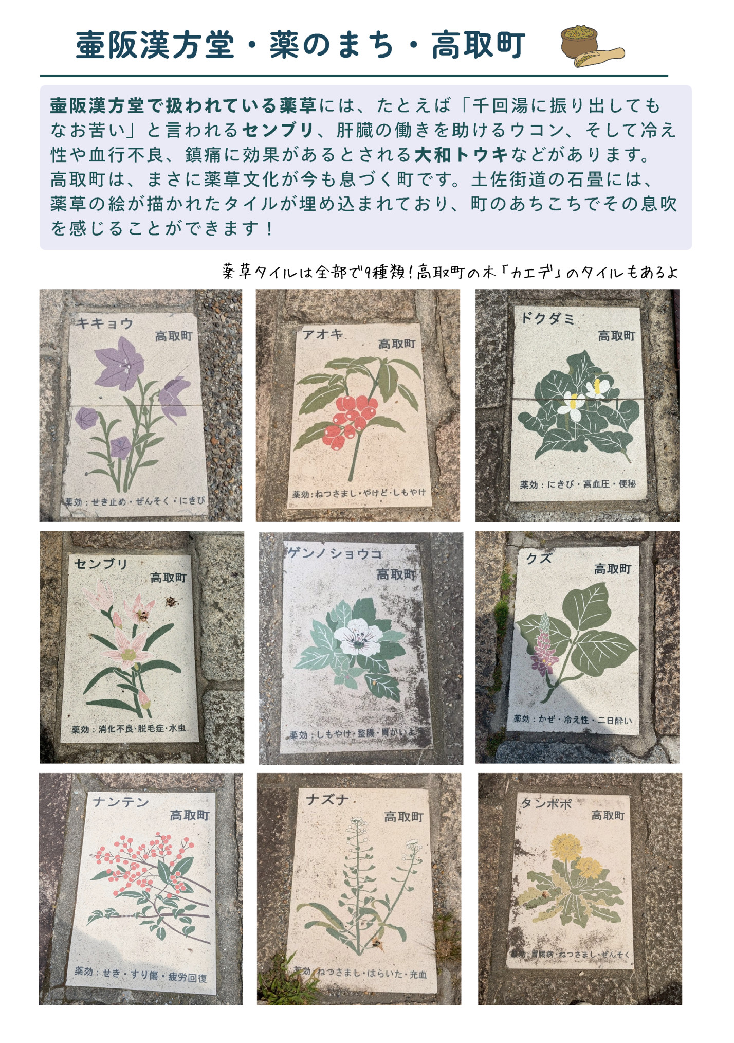 壷阪漢方堂・薬のまち・高取町