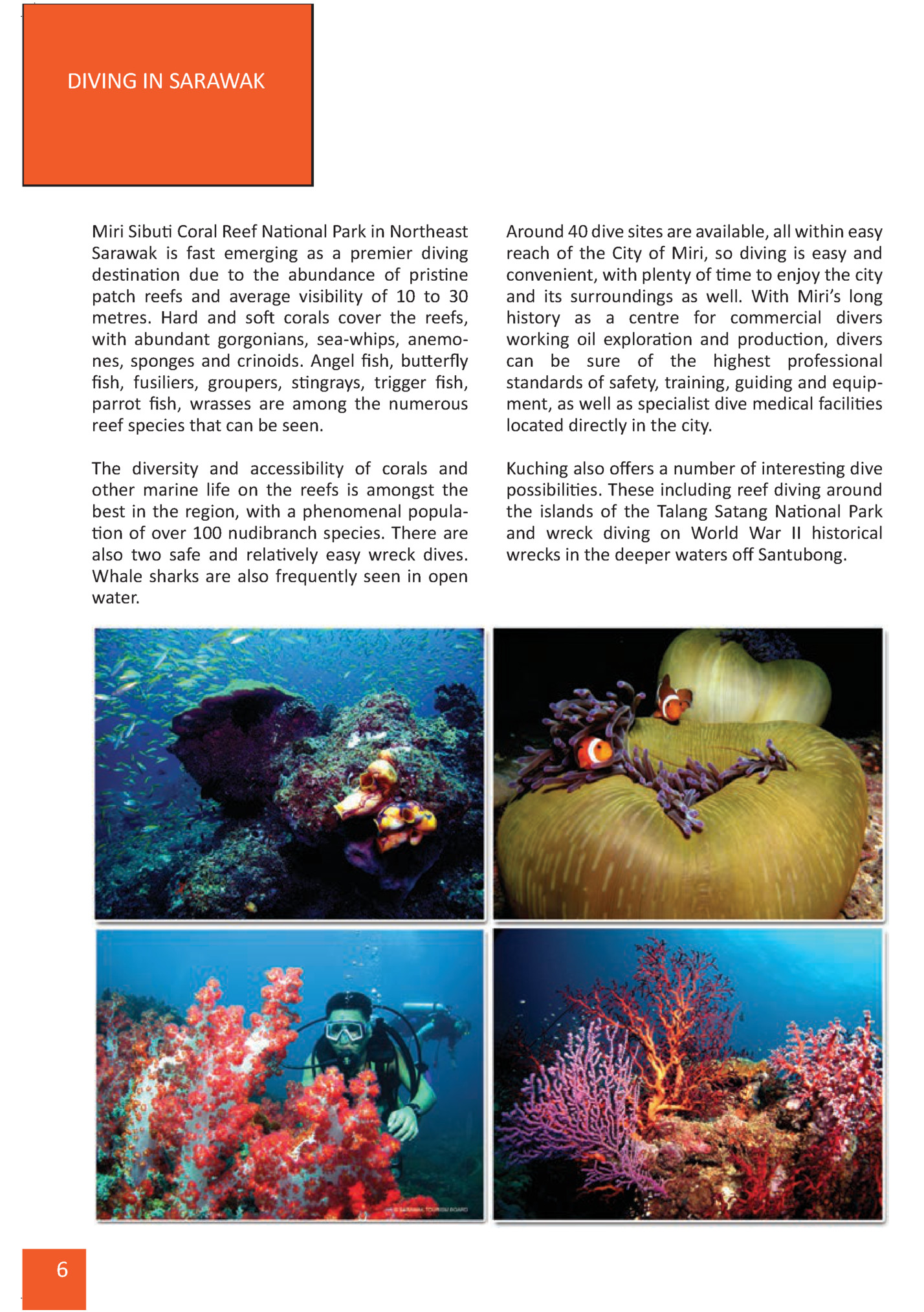 DIVING IN SARAWAK