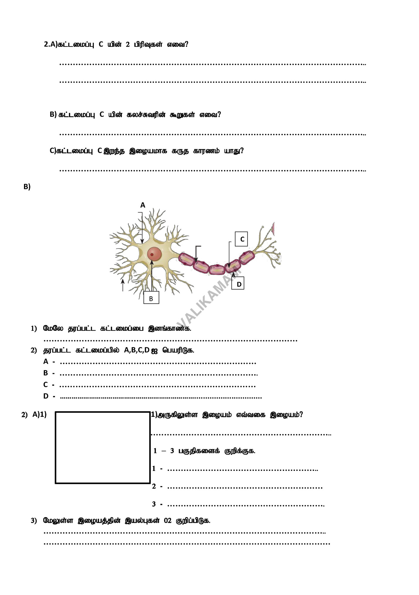 2.A)fl;likg;G C apd; 2 gpupTfs; vit?