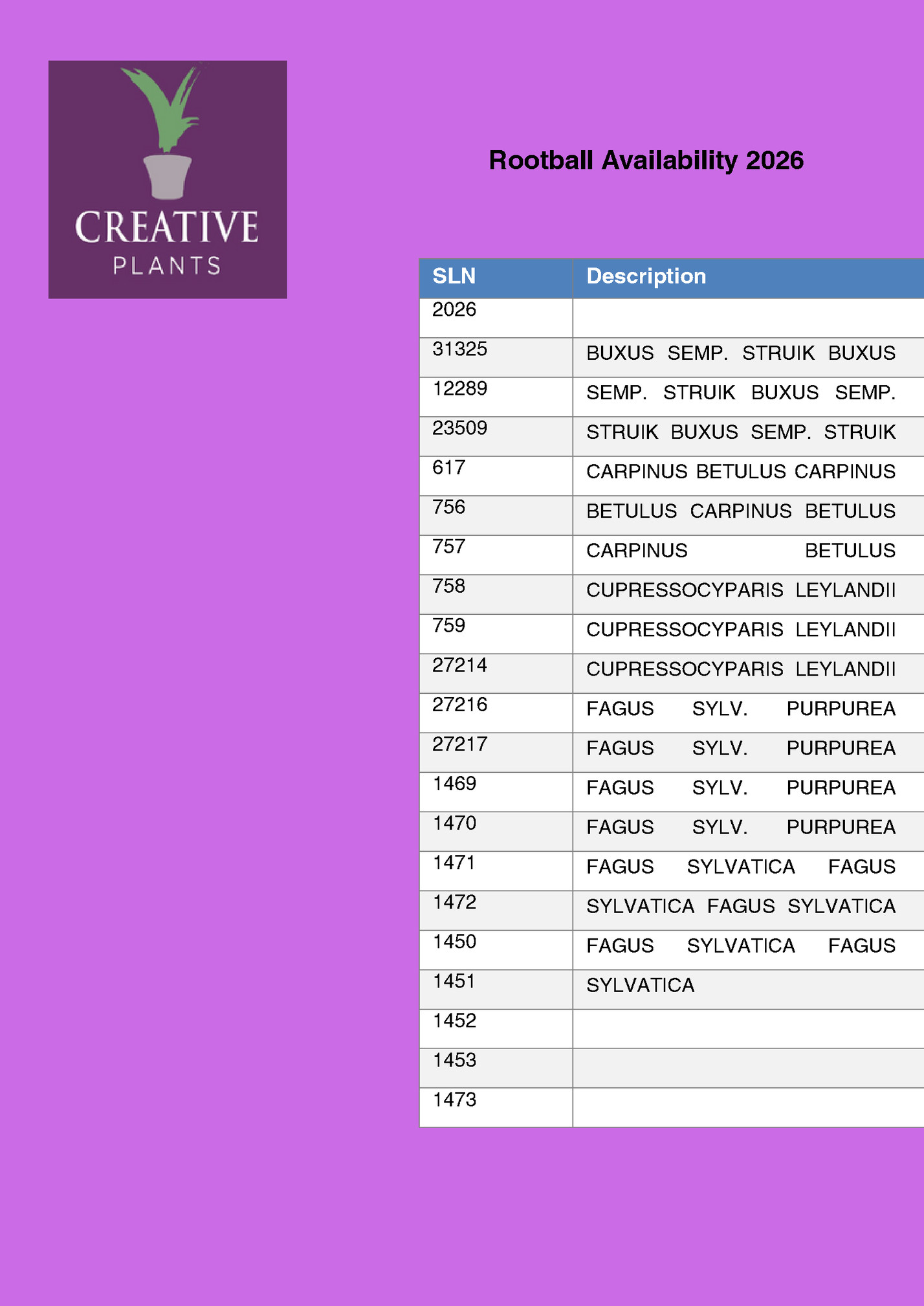Rootball Availability 2026