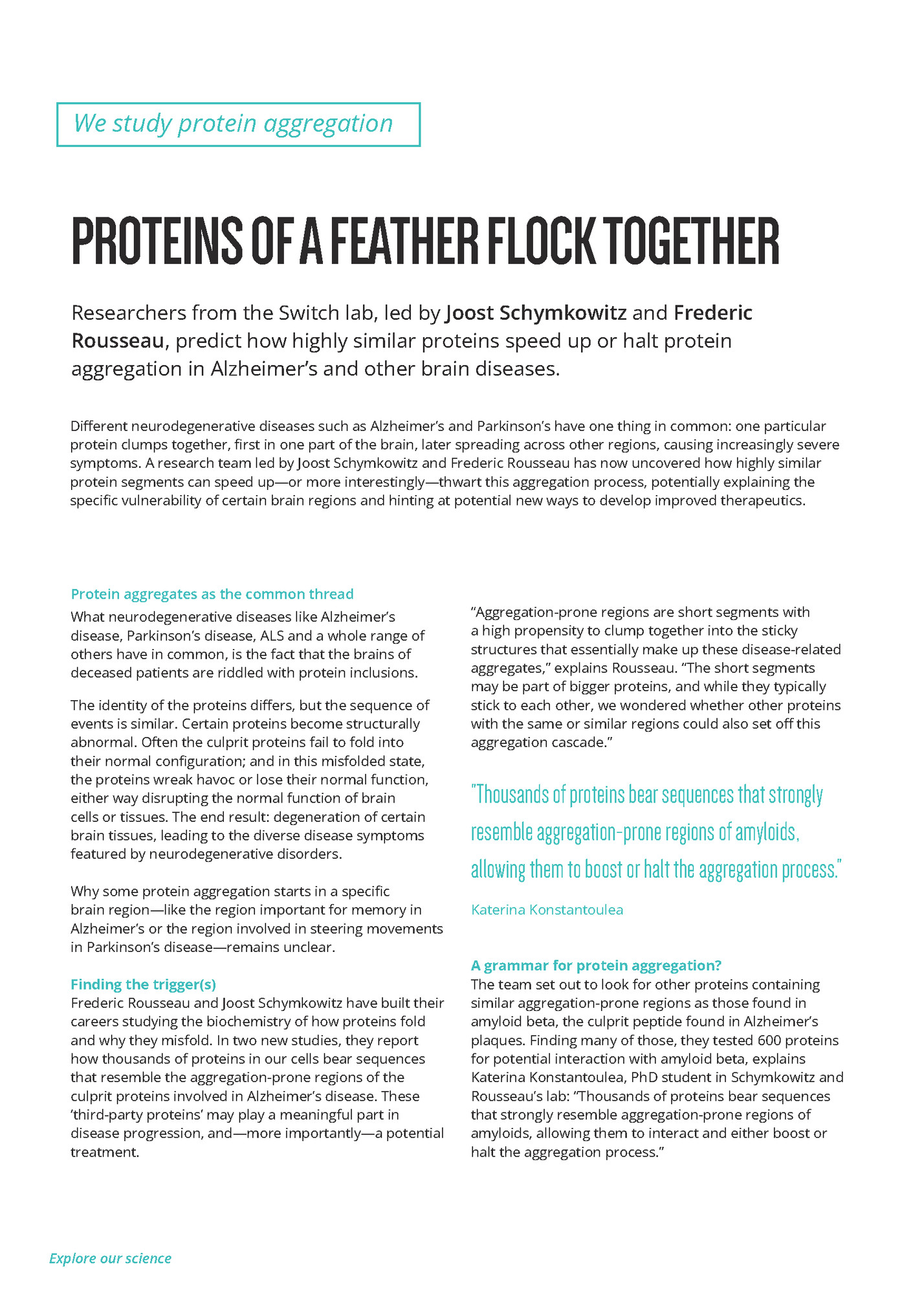 We study protein aggregation