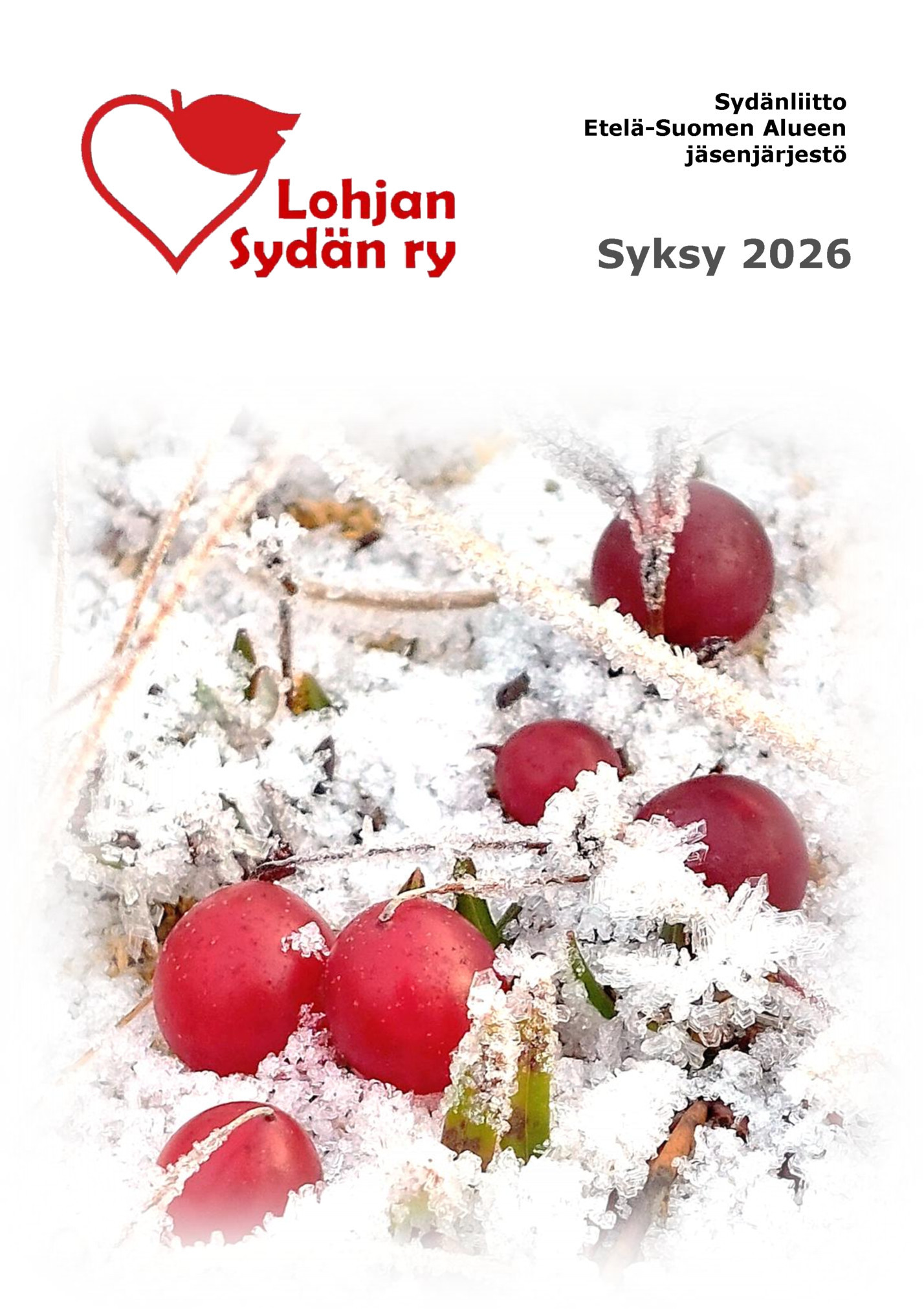 Sydänliitto Sydänliitto