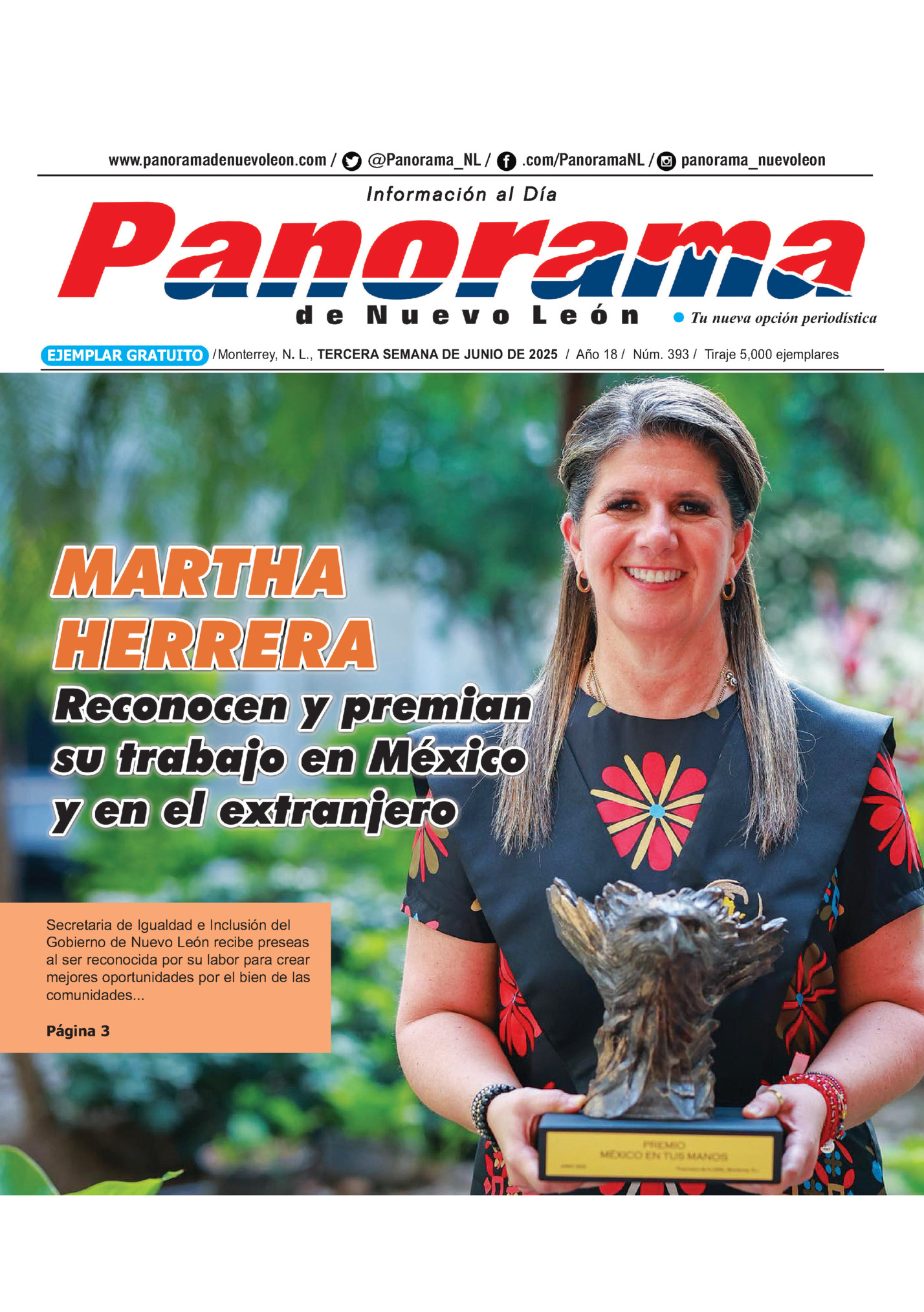 www.panoramadenuevoleon.com /