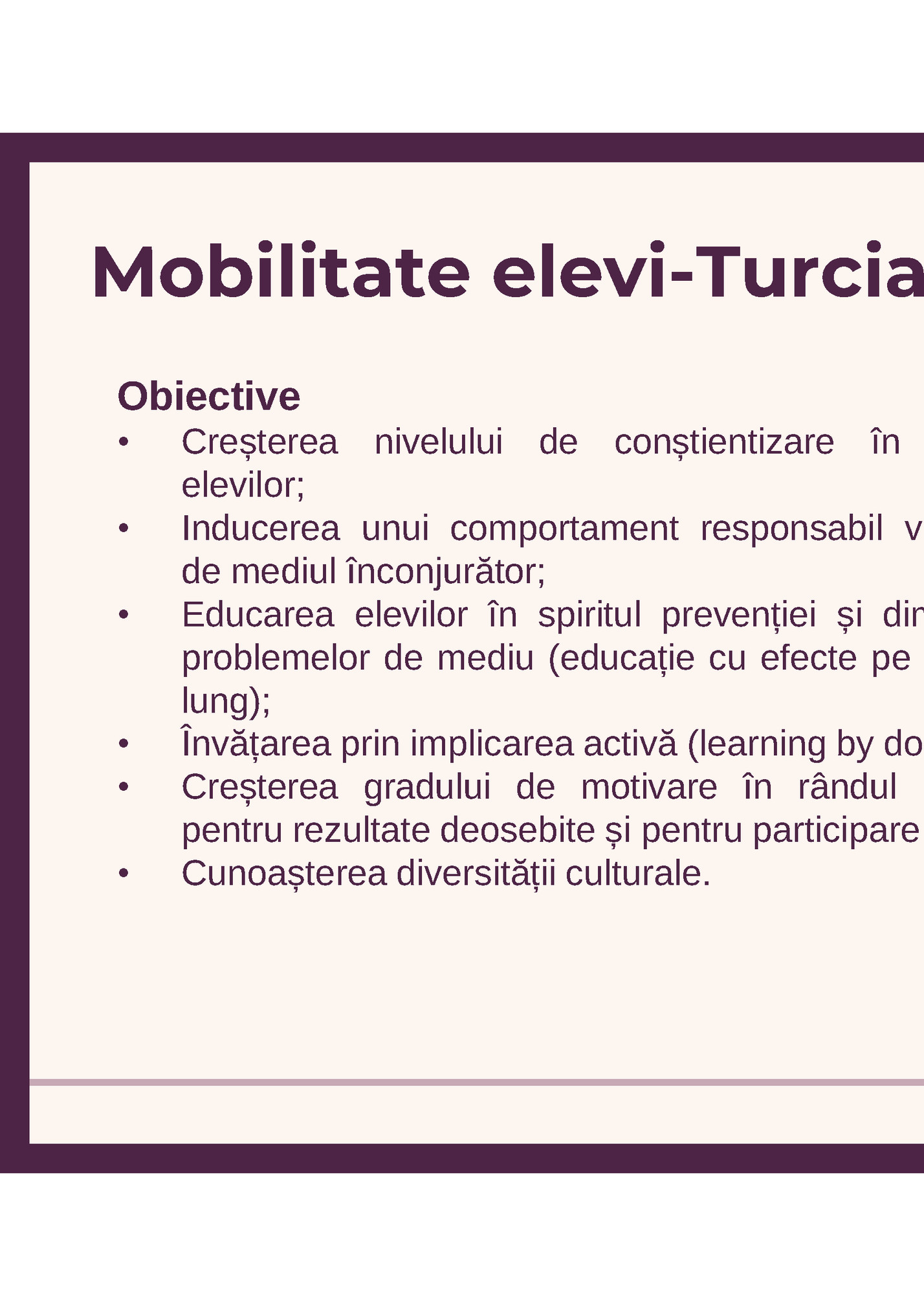 Mobilitate elevi-Turcia