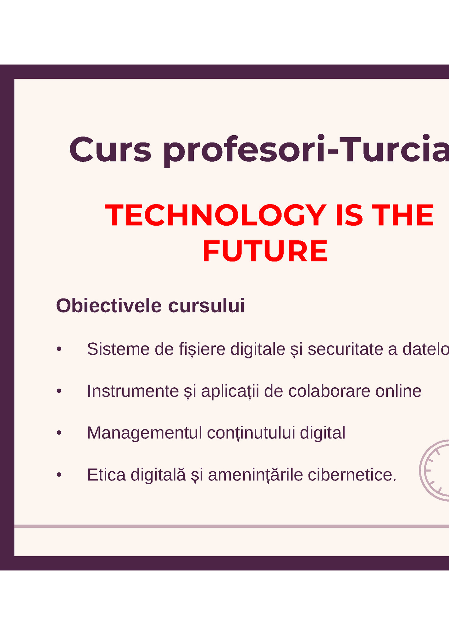 Curs profesori-Turcia