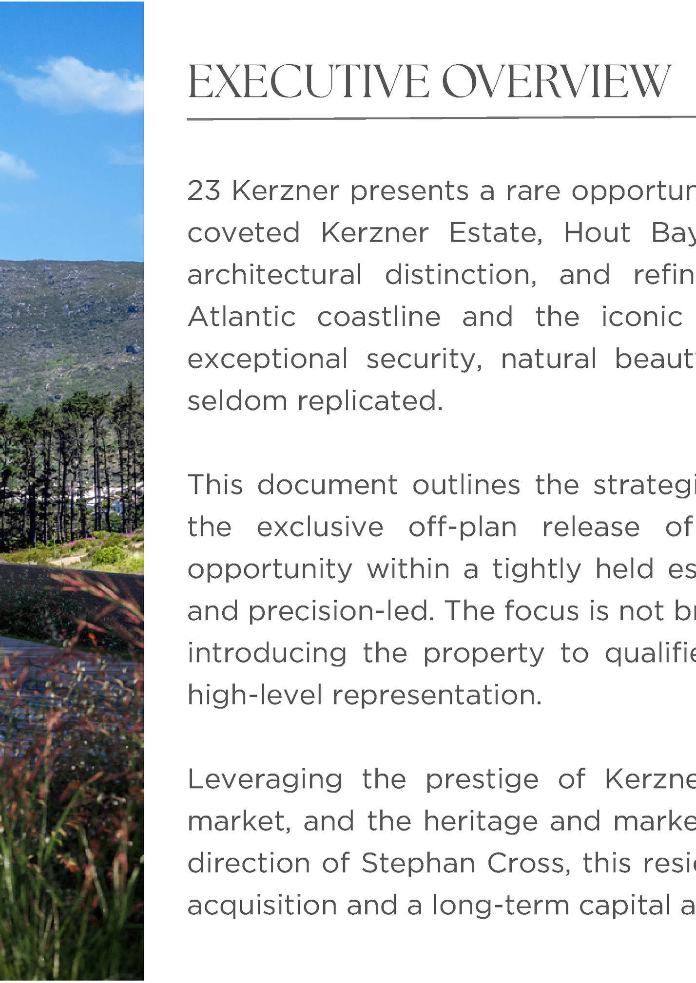 EXECUTIVE OVERVIEW EXECUTIVE OVERVIEW