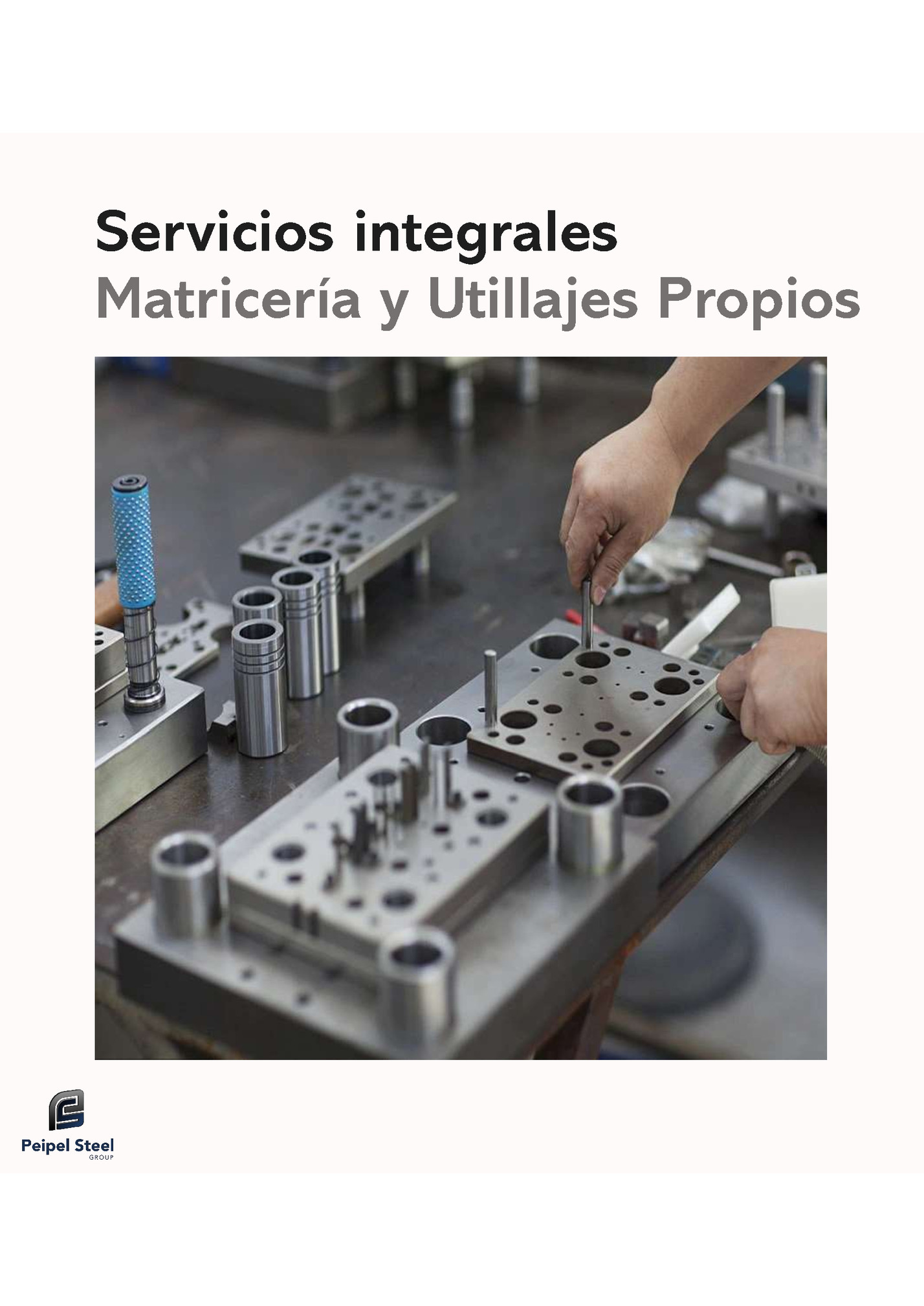 Servicios integrales