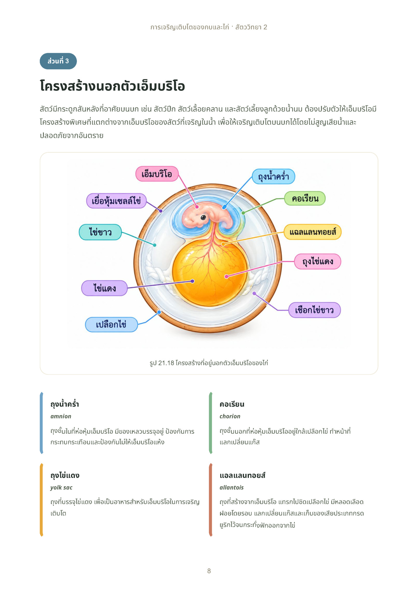 การเจริญเติบโตของกบและไก่ · สัตววิทยา 2