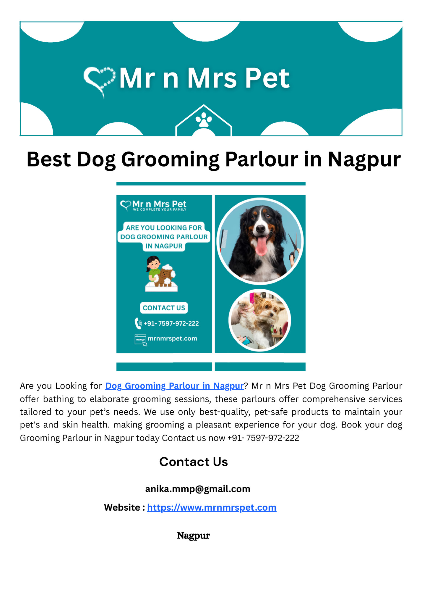 Best Dog Grooming Parlour in Nagpur