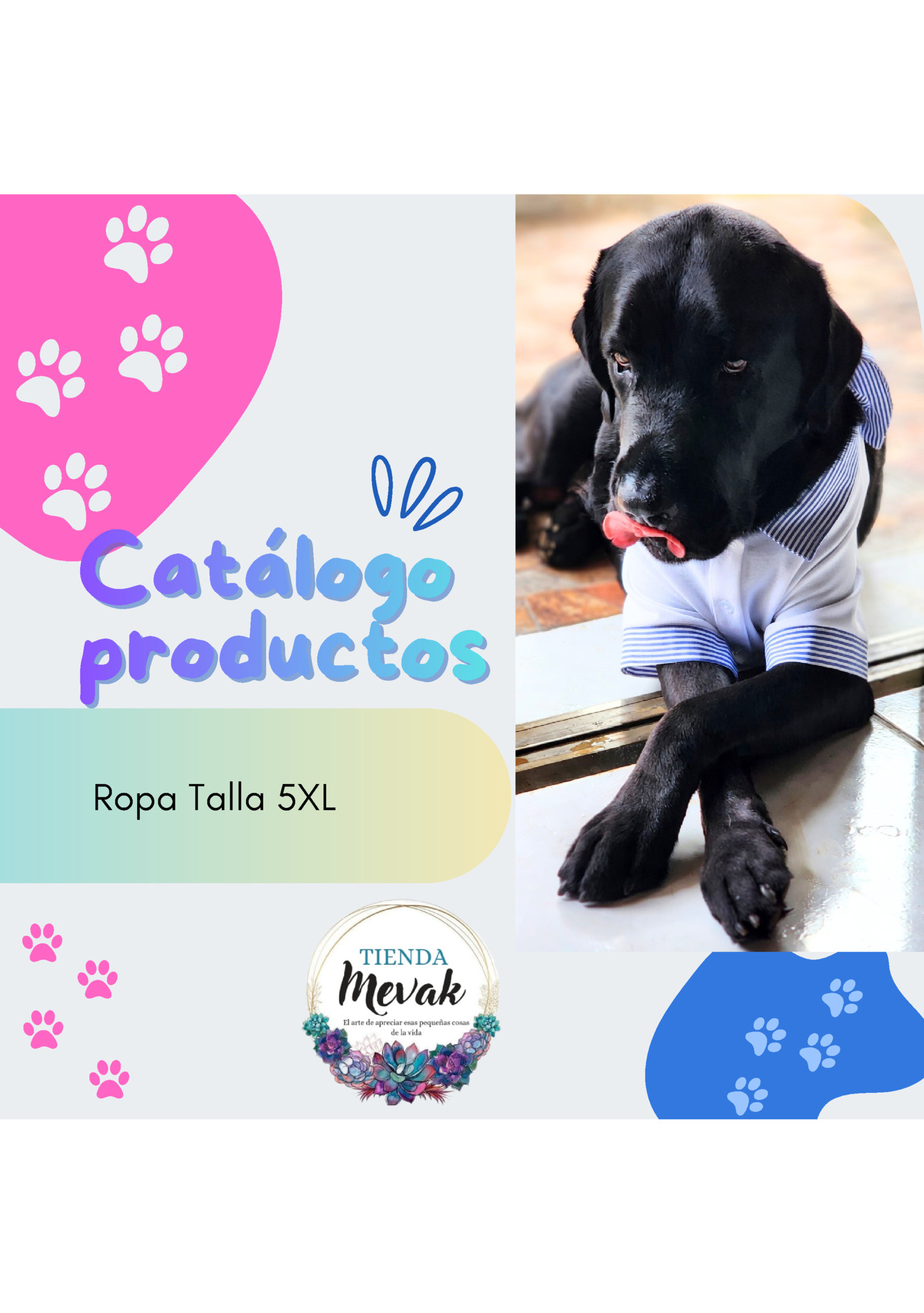 Catálogo
