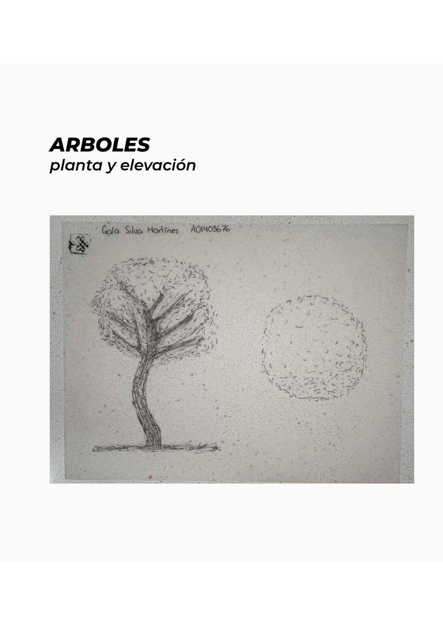 ARBOLES