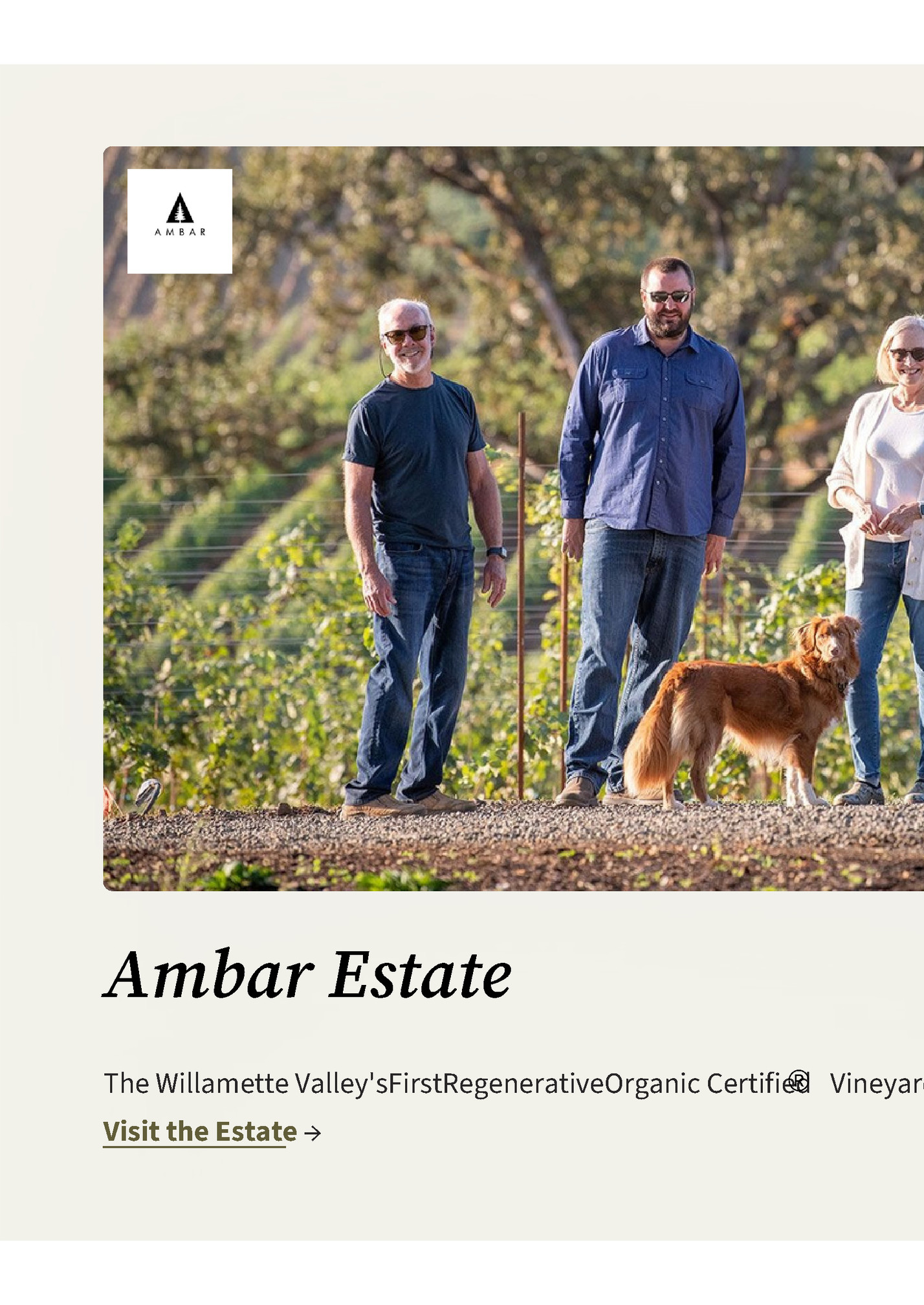 Ambar Estate