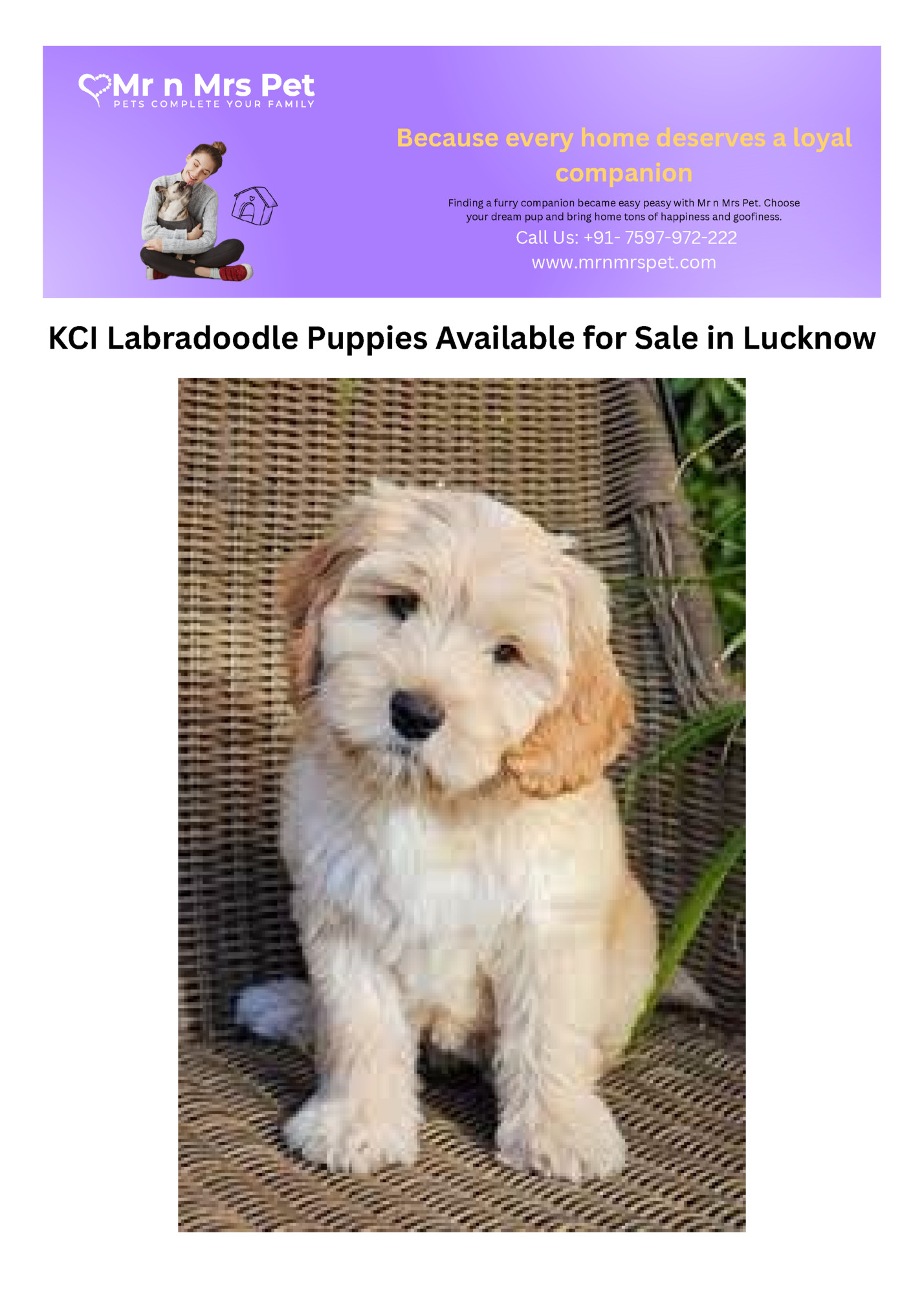 Because every home deserves a loyal