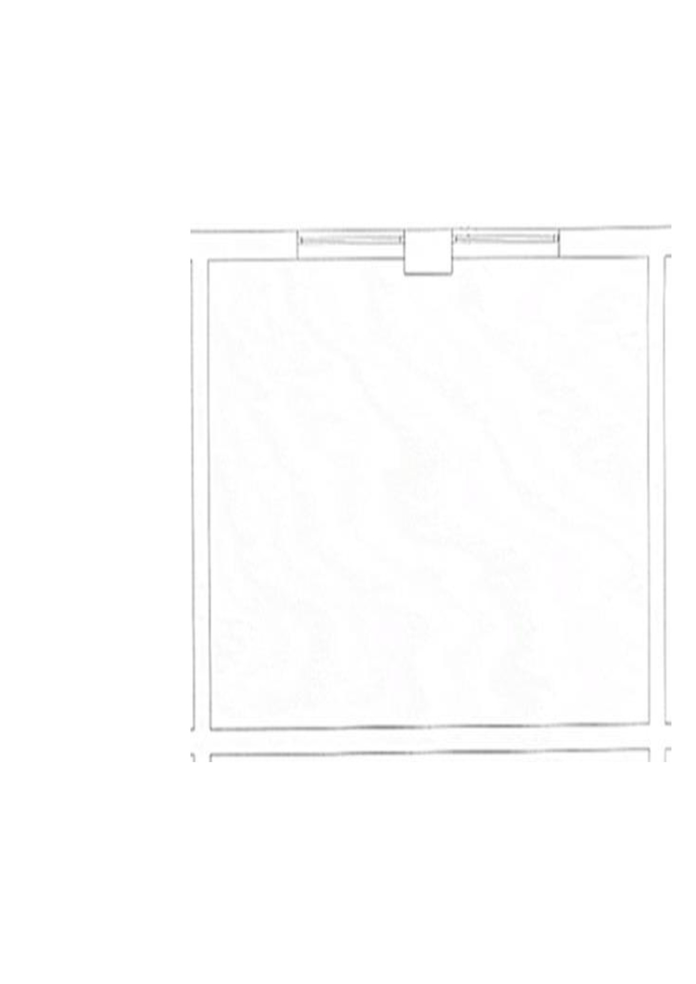 The project The project