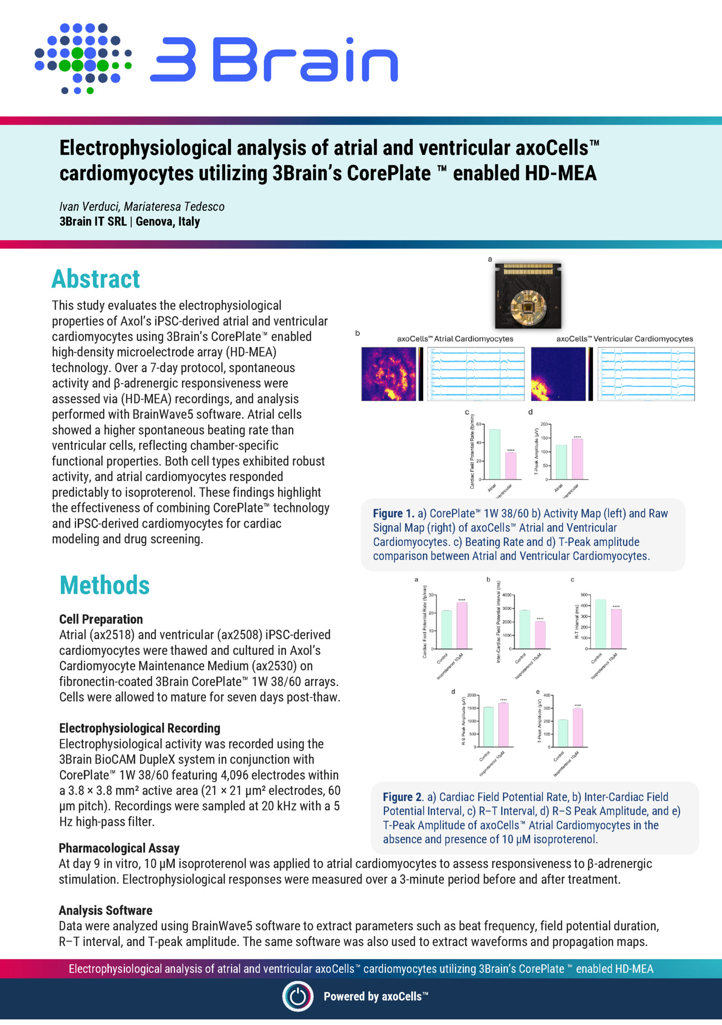 Electrophysiological analysis of atrial and ventricular axoCells