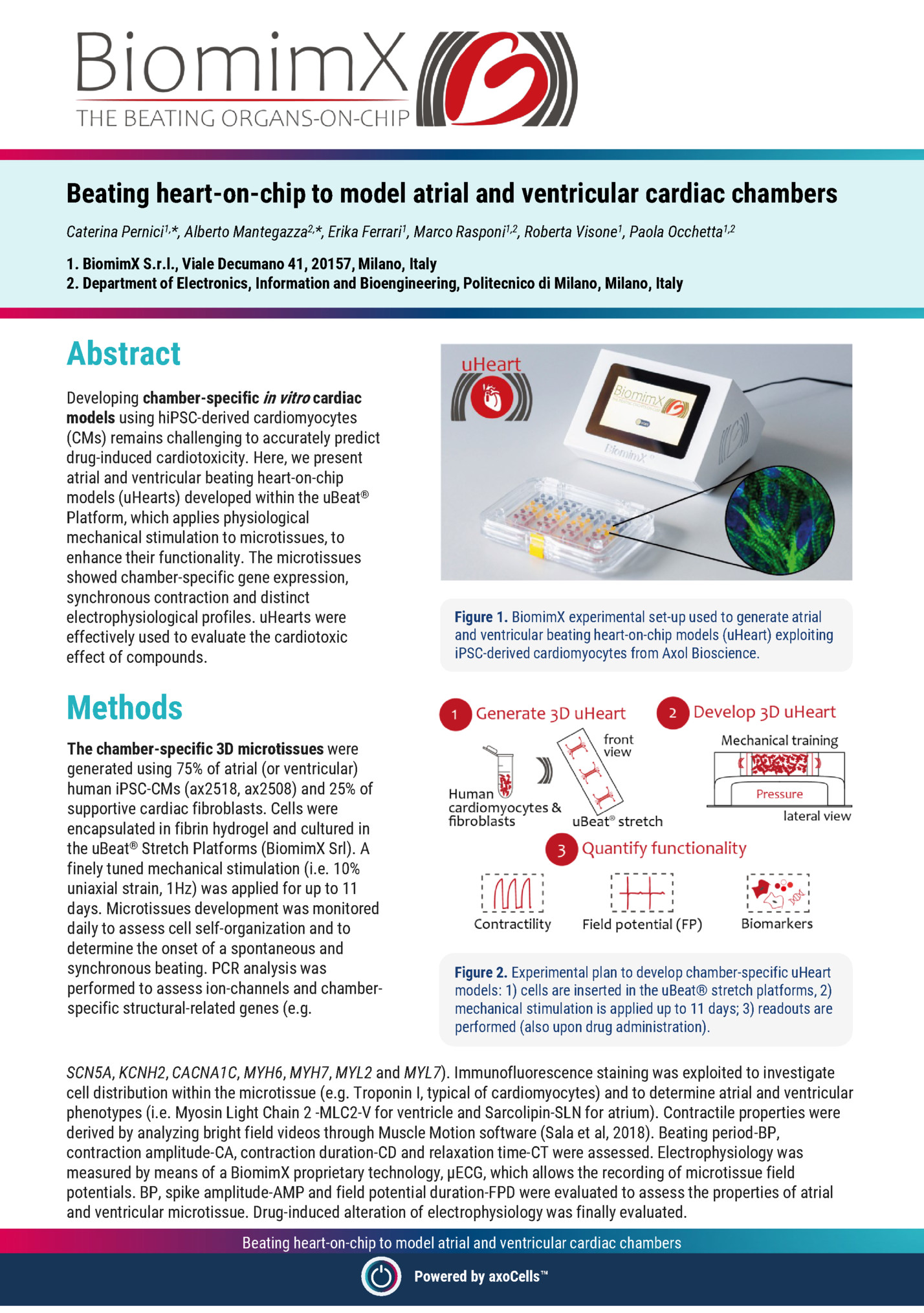 Beating heart-on-chip to model atrial and ventricular cardiac chambers
