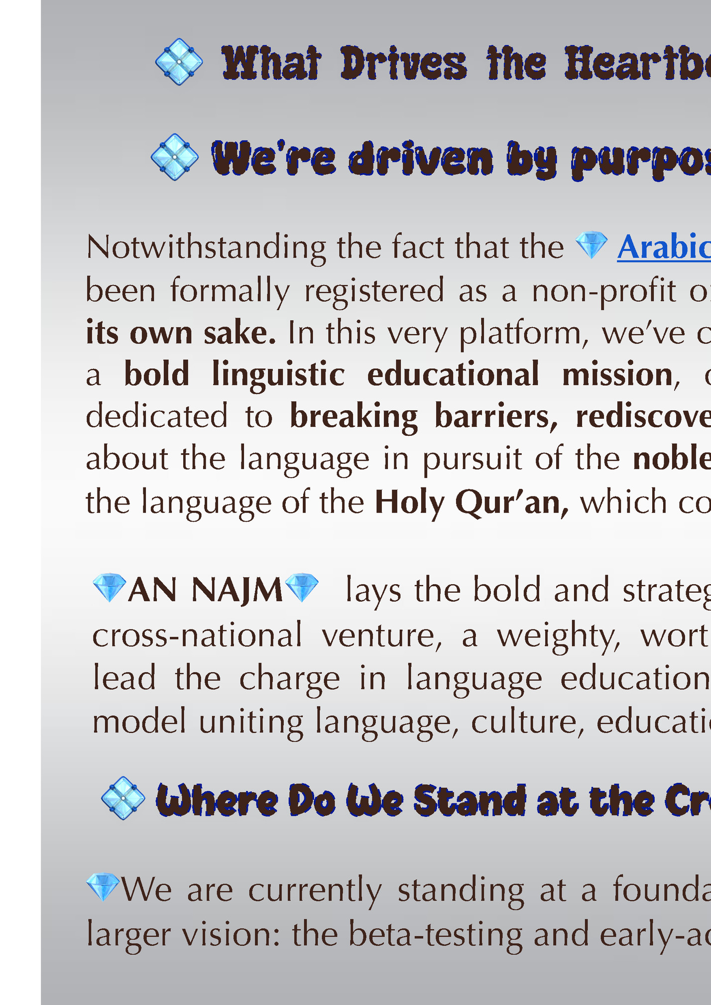 💠 What Drives the Heartbeat Behind the Mission?💠