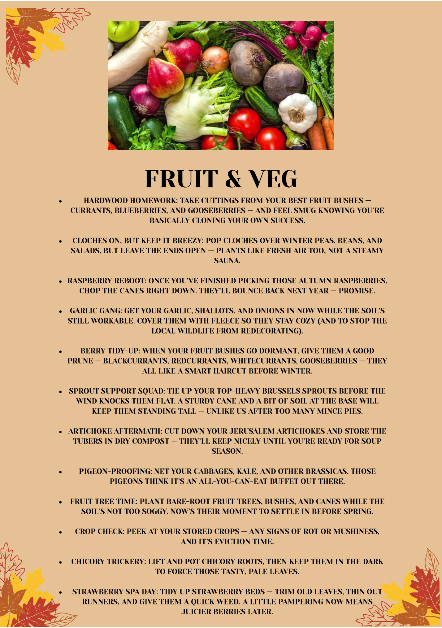 FRUIT & VEG FRUIT & VEG