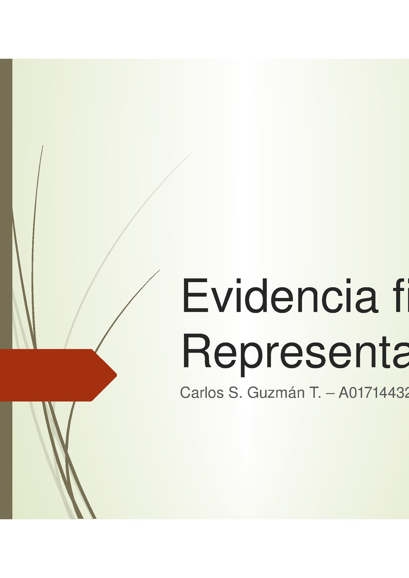 Evidencia final – 